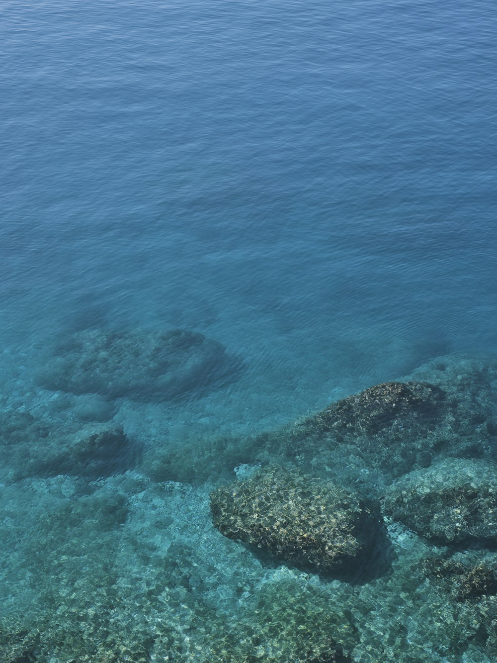 a body of water that has some rocks in it