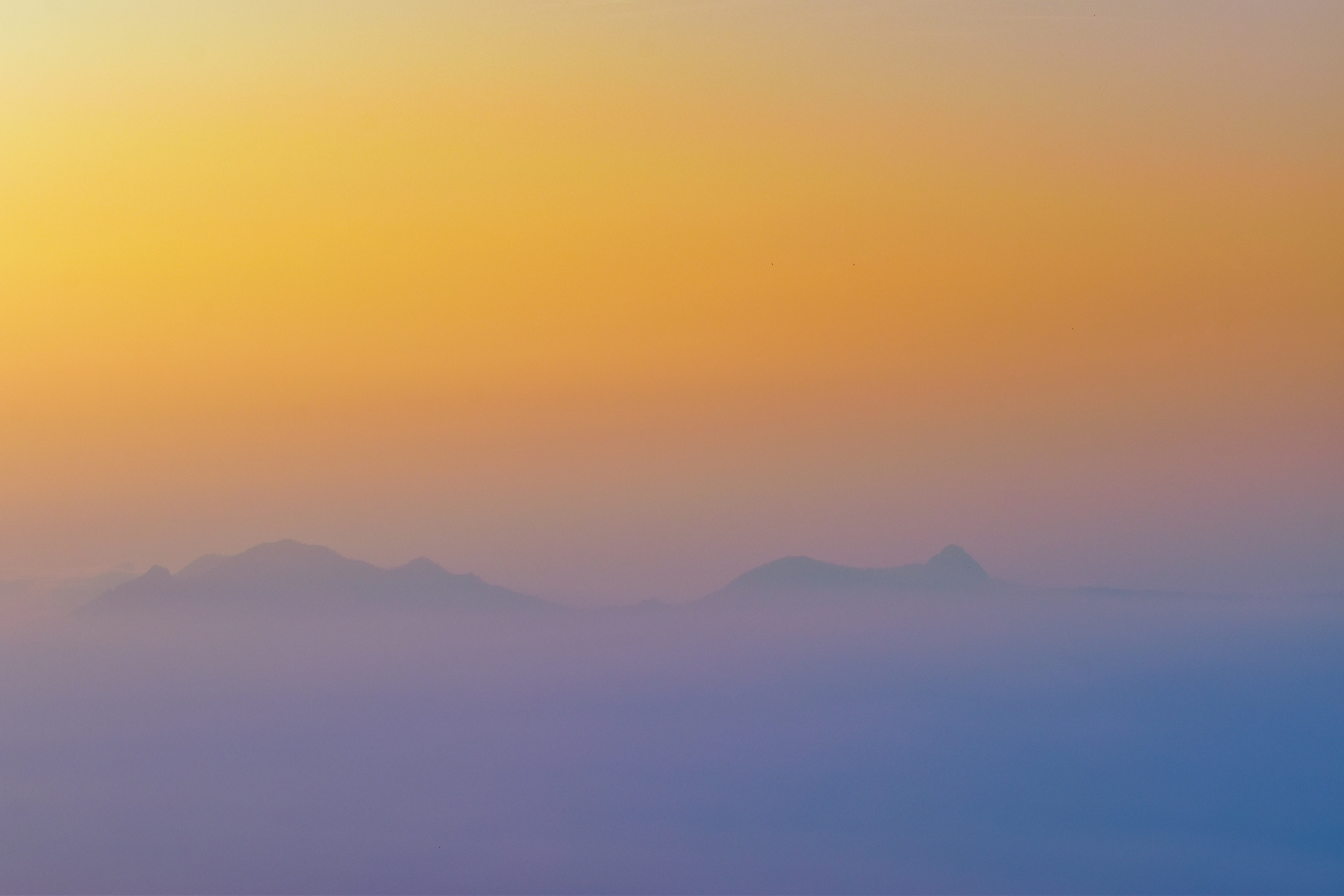 Photo by navi_photography