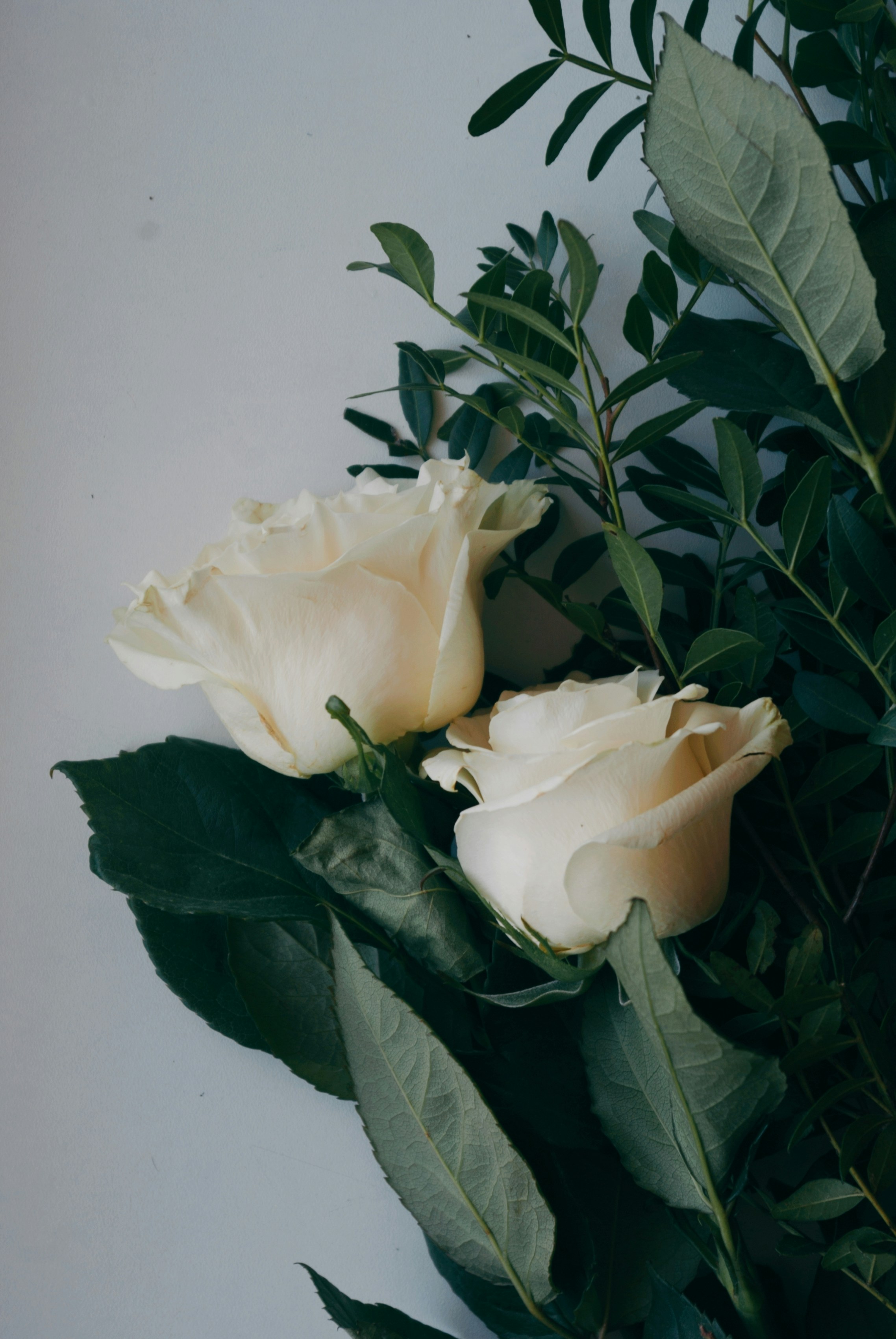 Photo by moonmoons_days