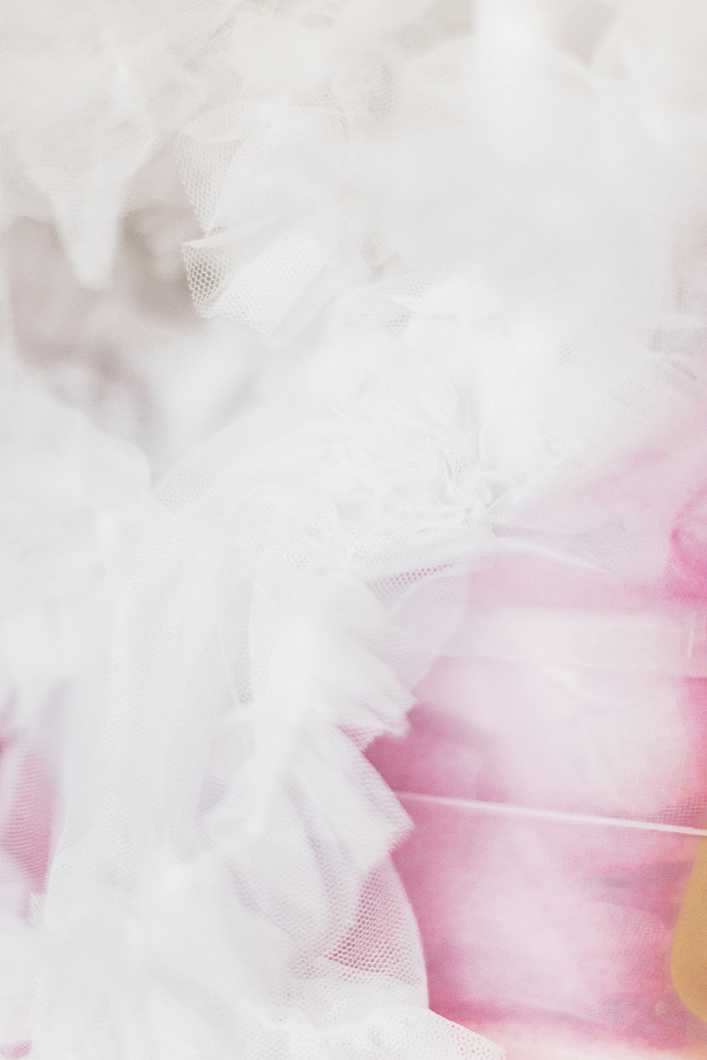 a close up of a pink vase with white feathers