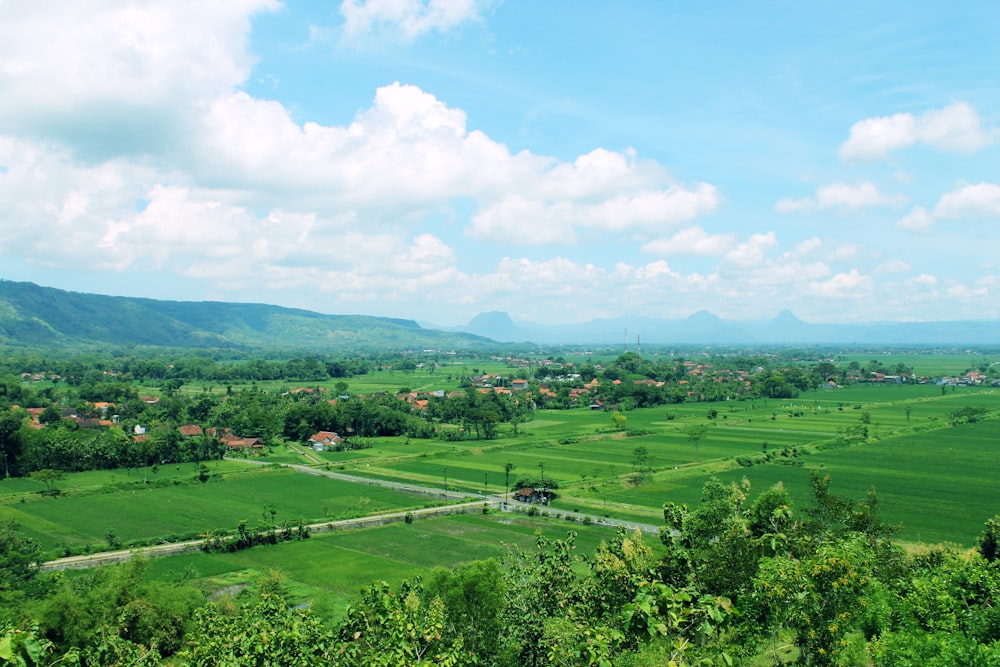 a lush green valley surrounded by lush green fields