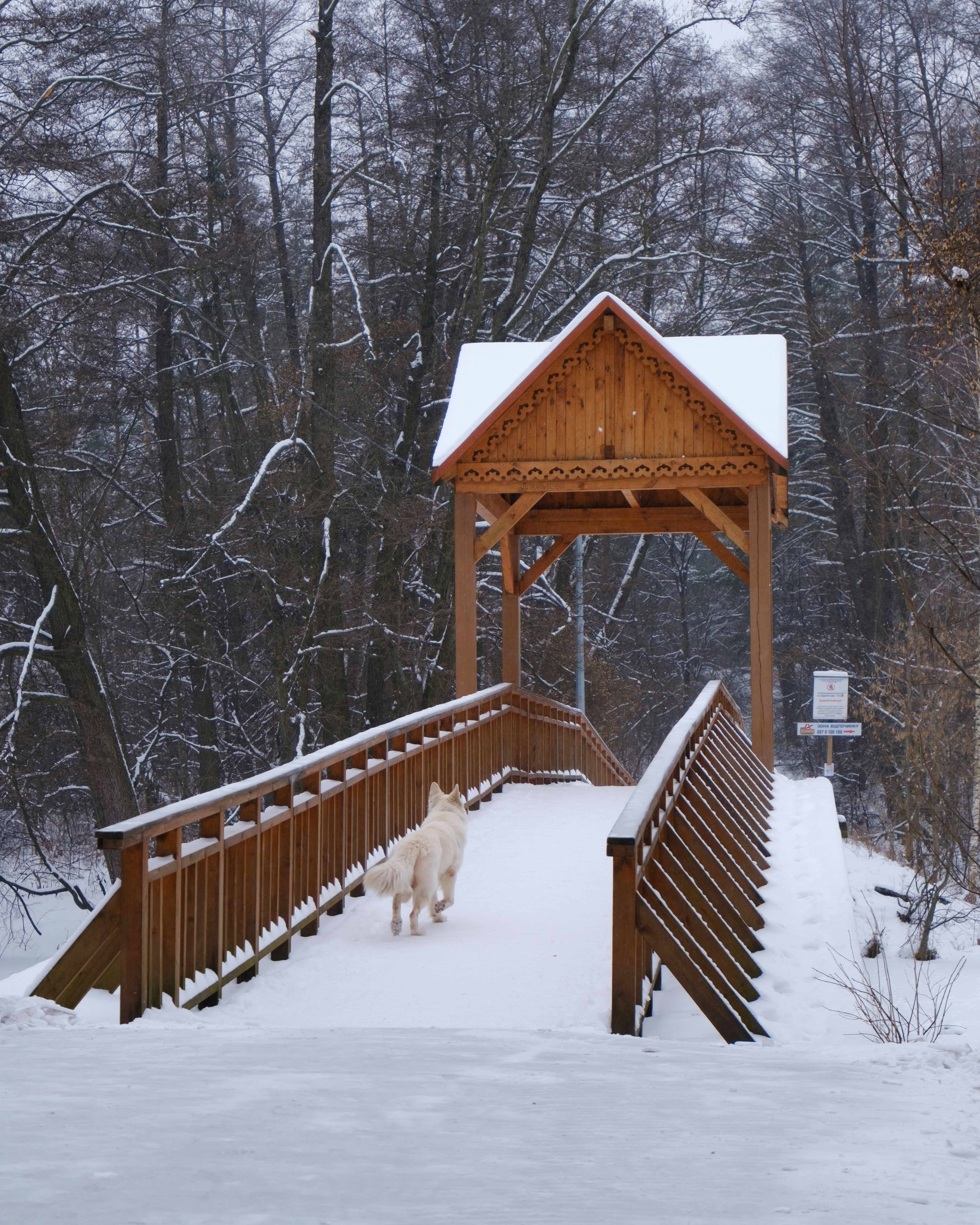 Photo by olegbilykpro