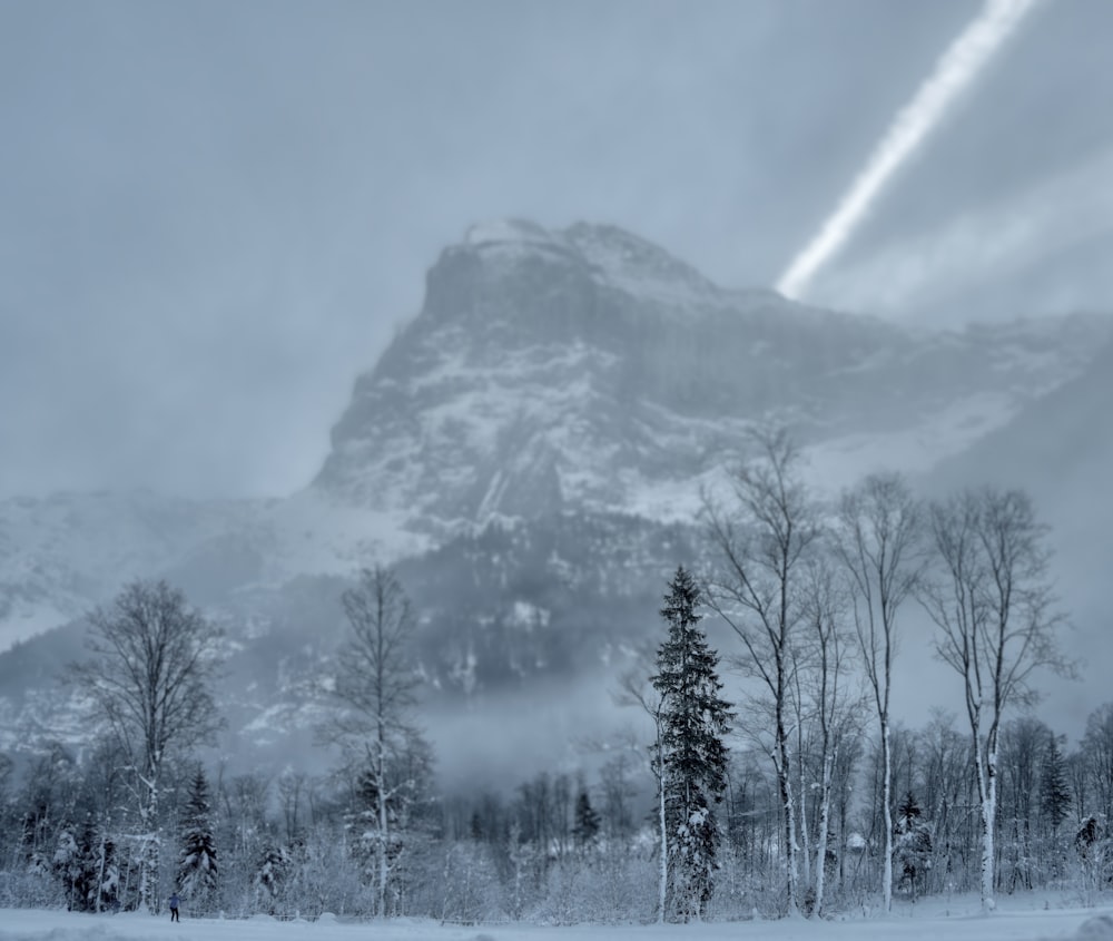 a mountain covered in snow with trees in the foreground