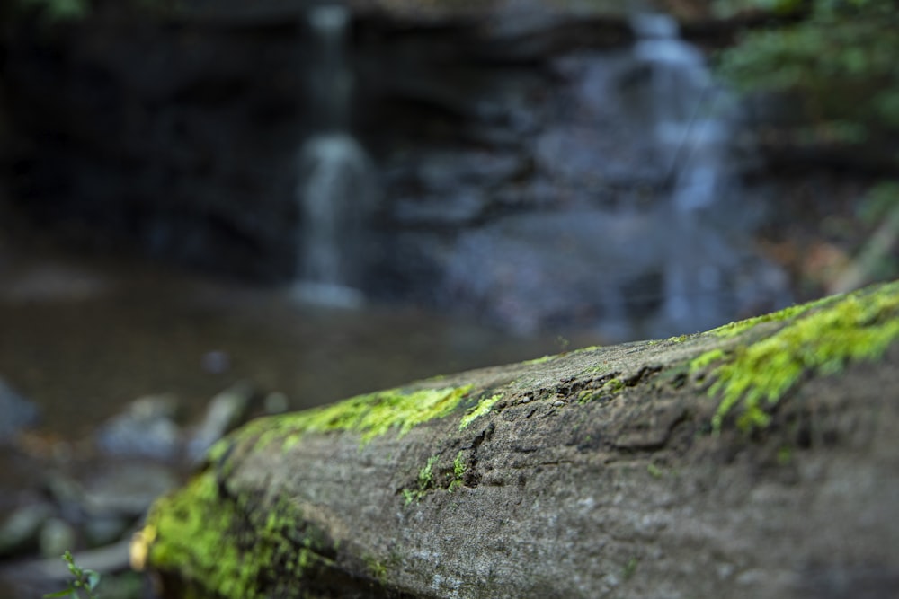 a moss covered rock with a waterfall in the background