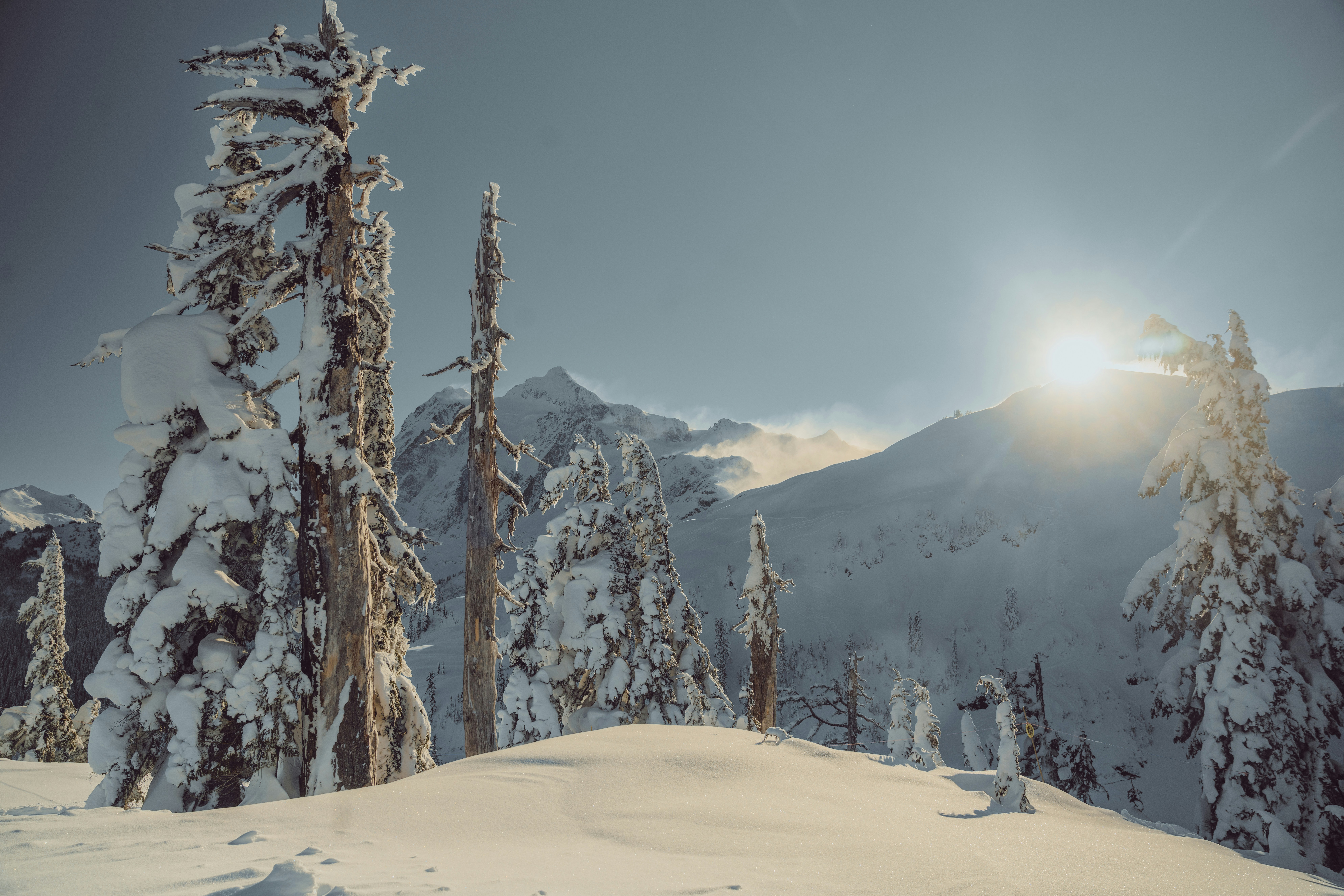 Photo by paul__schafer