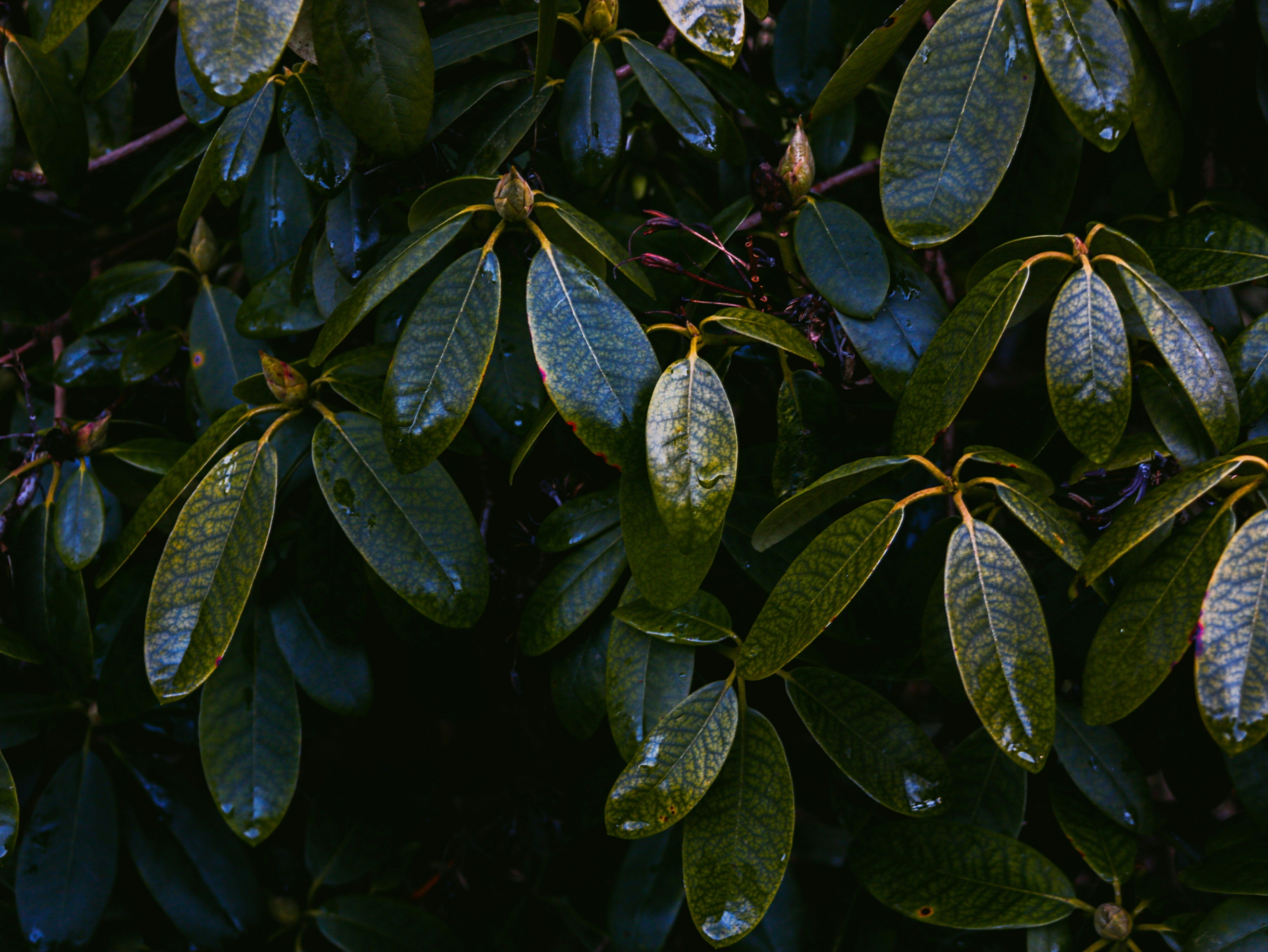 Photo by thee_photography_