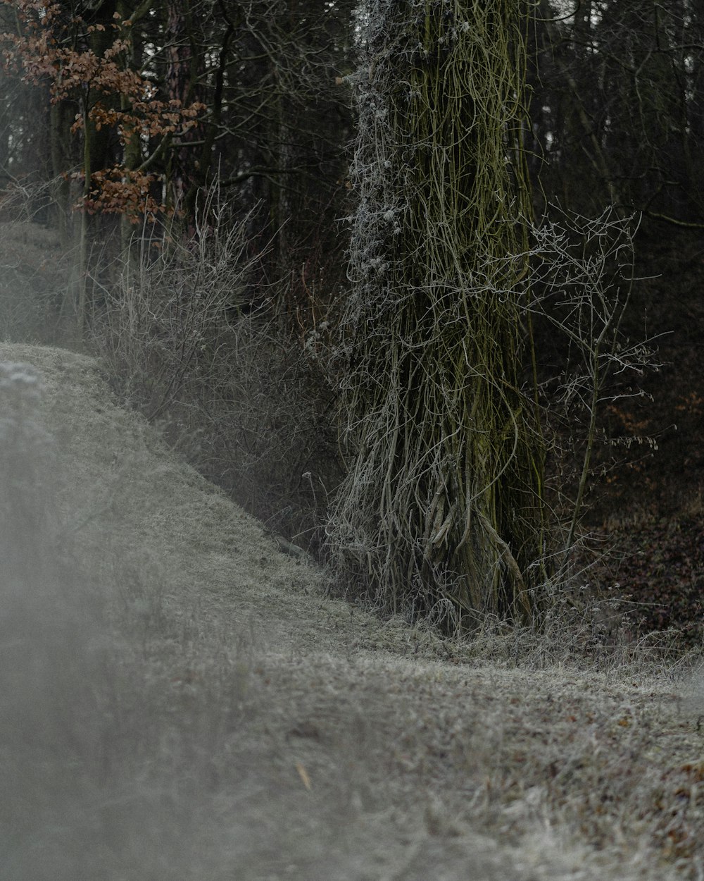 a person riding a bike down a dirt road