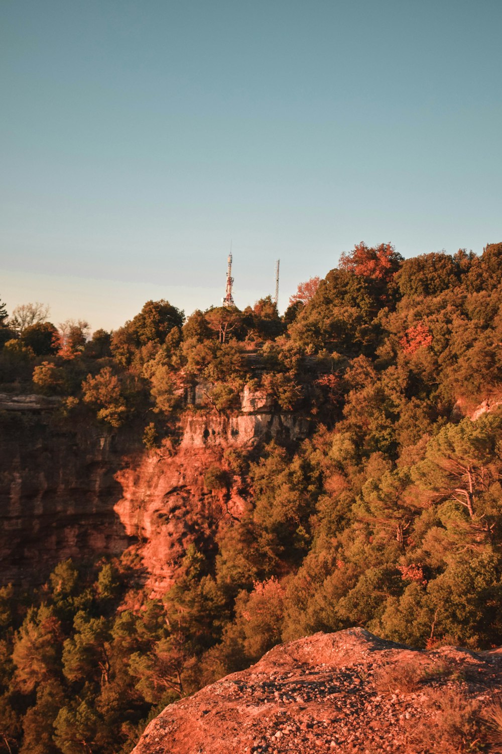 a man standing on top of a cliff next to a forest