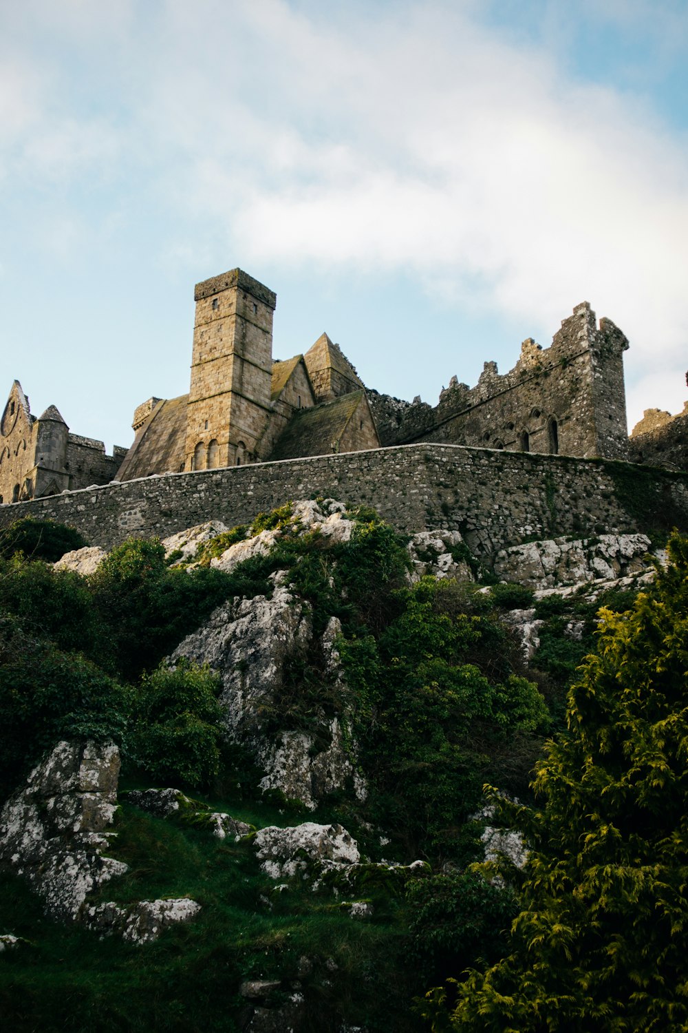 a castle on top of a hill surrounded by trees