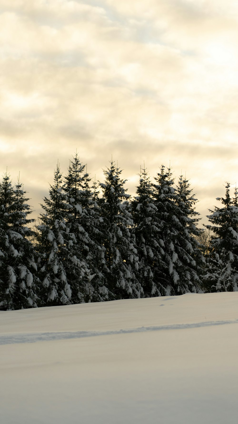 a person riding skis on a snowy surface