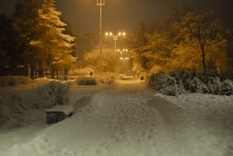 a snowy path with a street light in the background