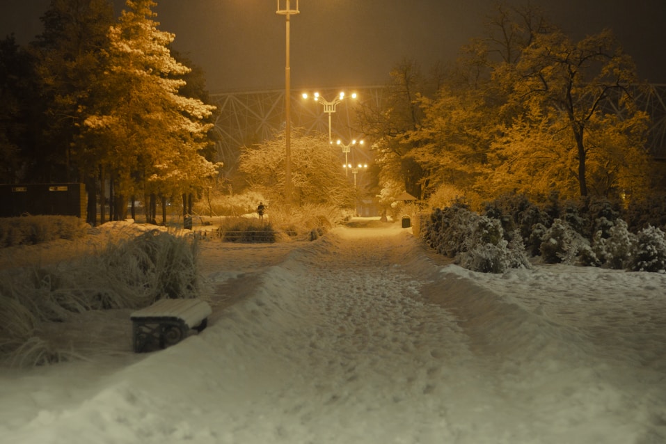 a snowy path with a street light in the background