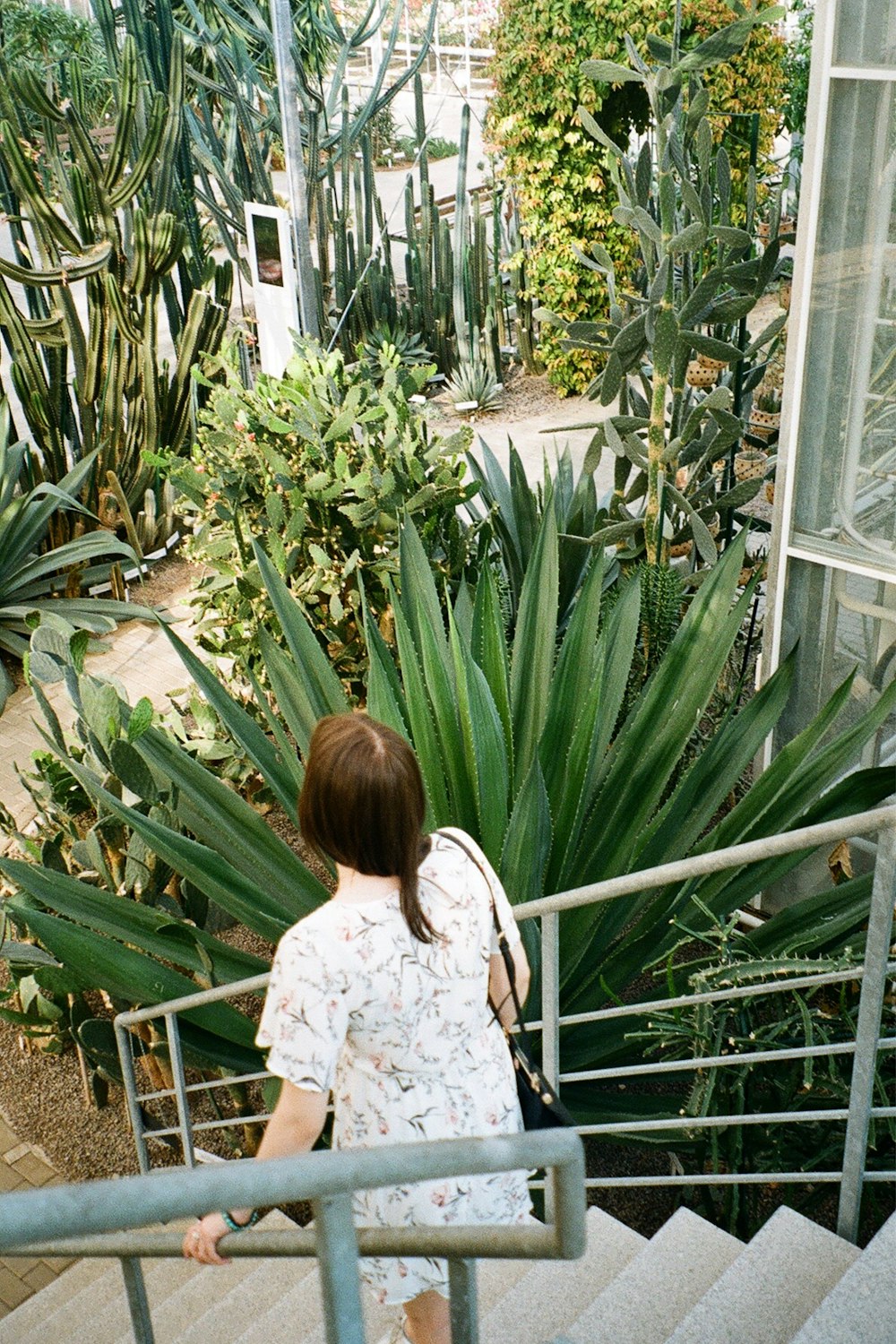 a person sitting on a bench next to a palm tree