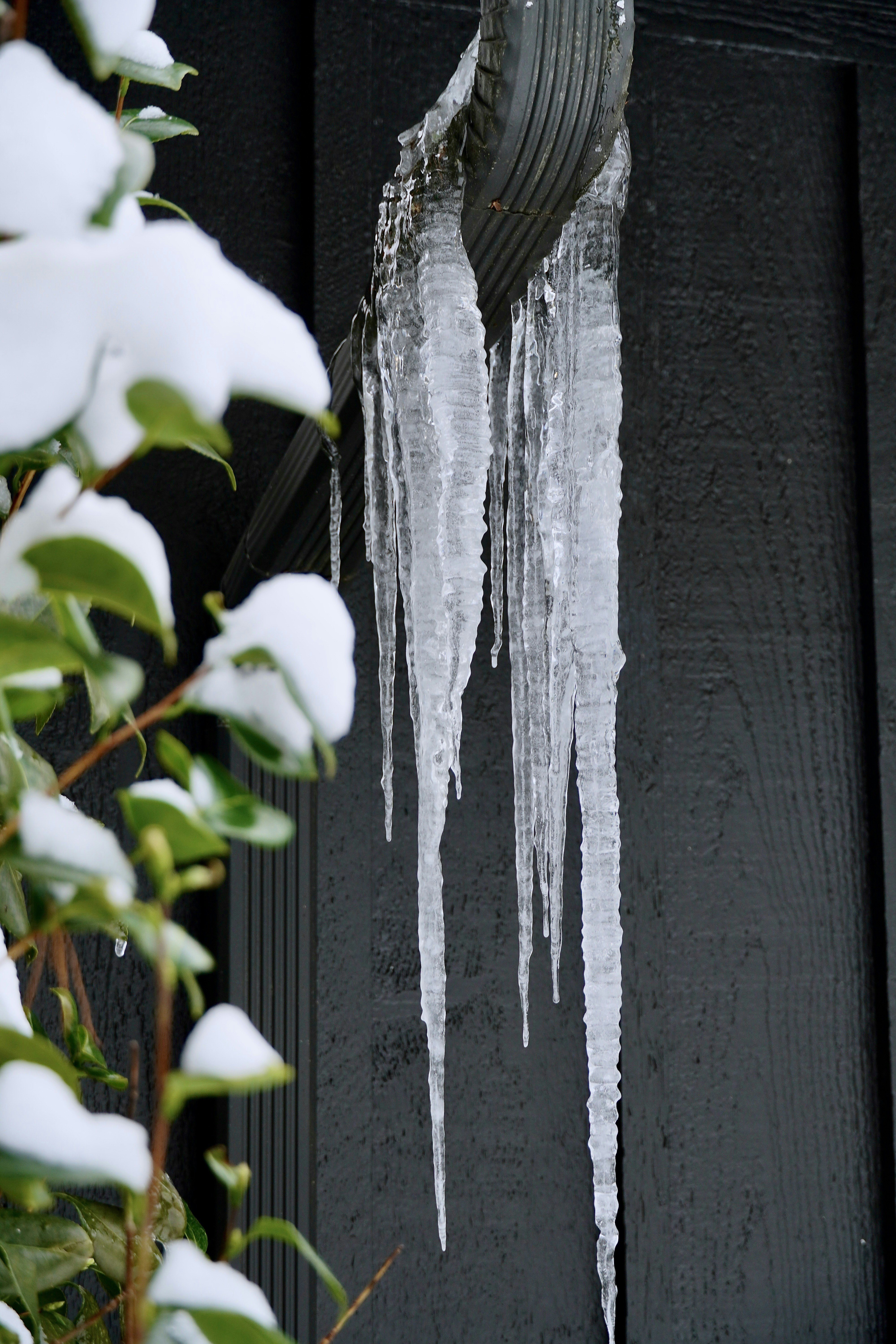 Photo by bauerfarmer