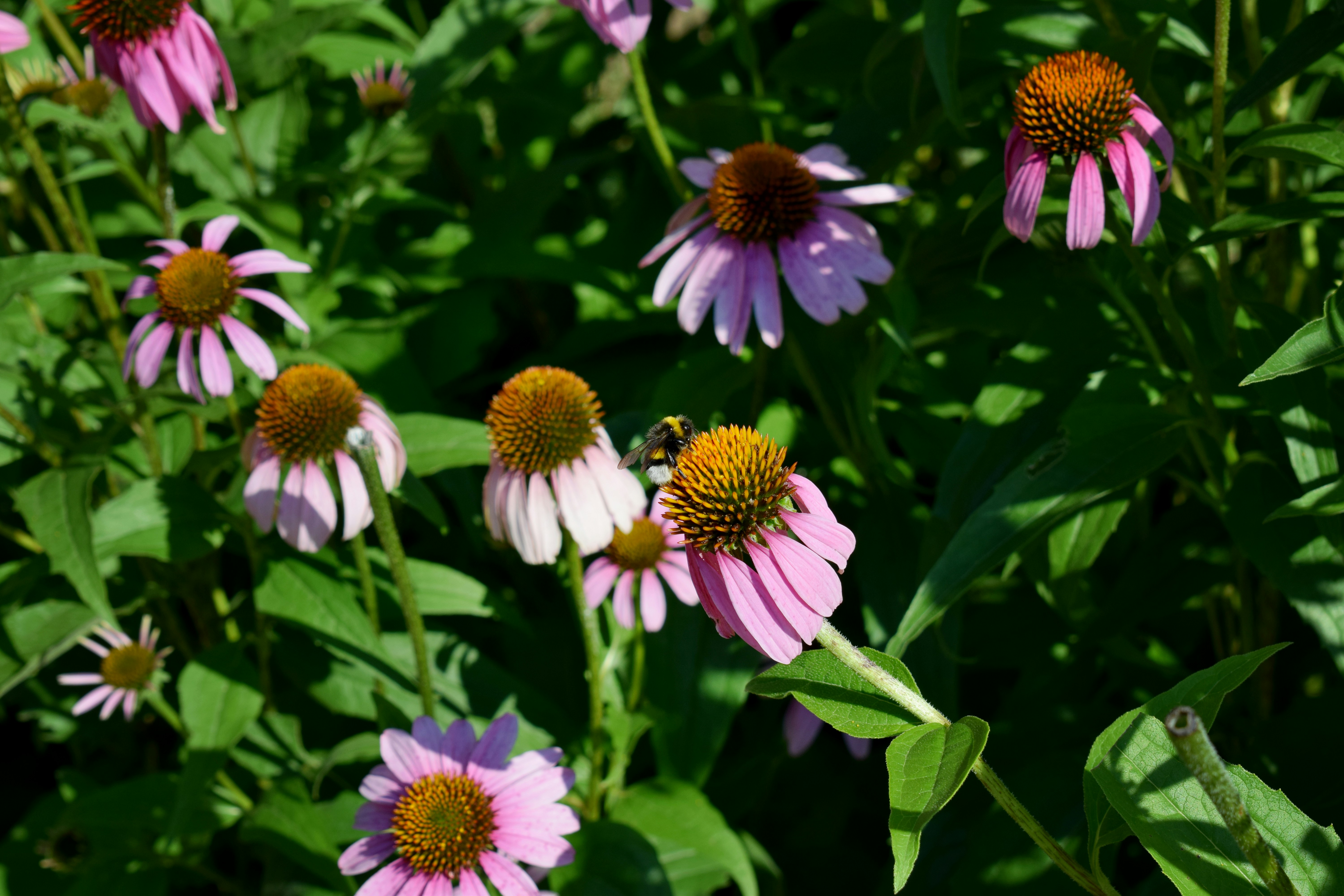 Photo by bumbadabumruum