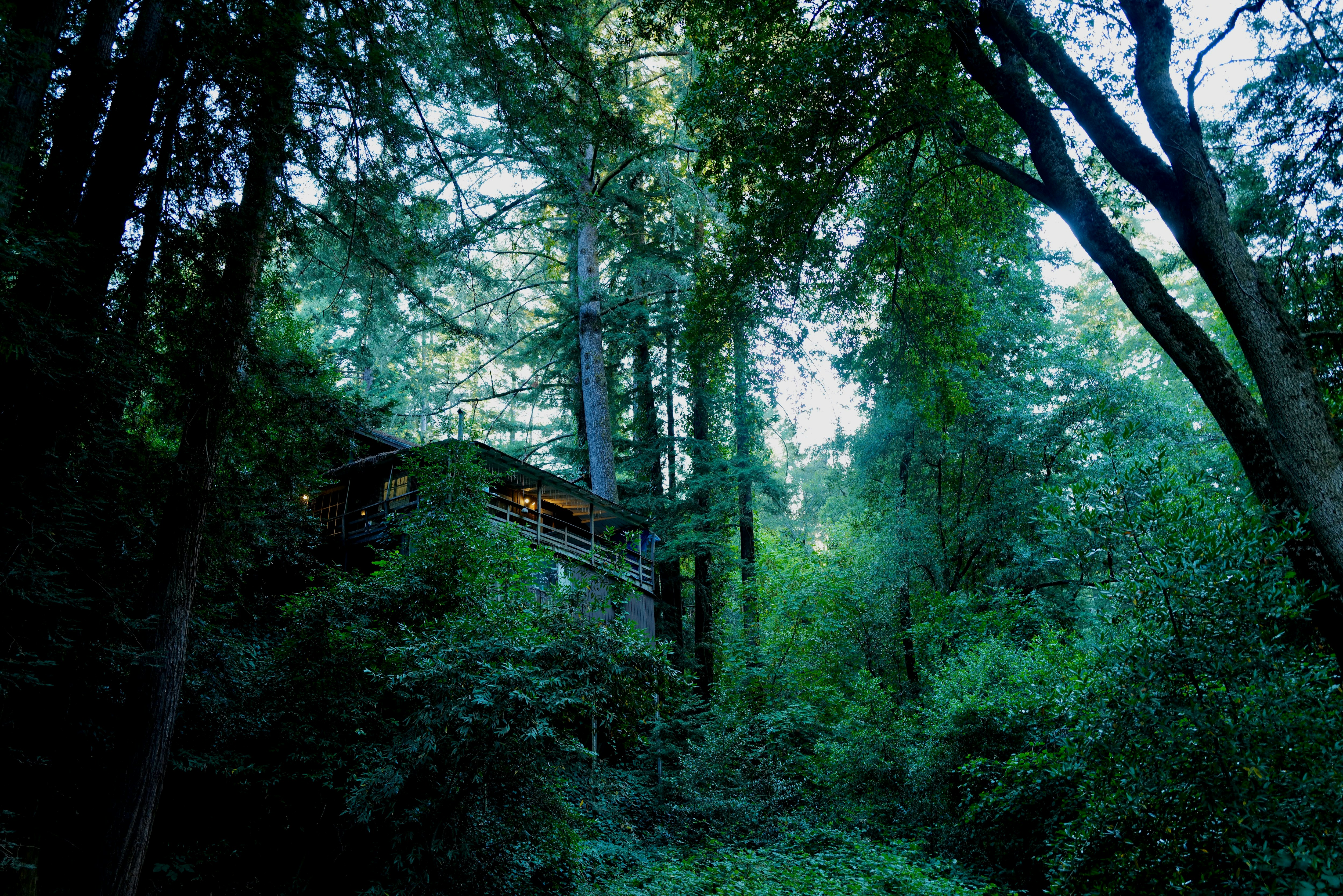 Photo by mostlycogent