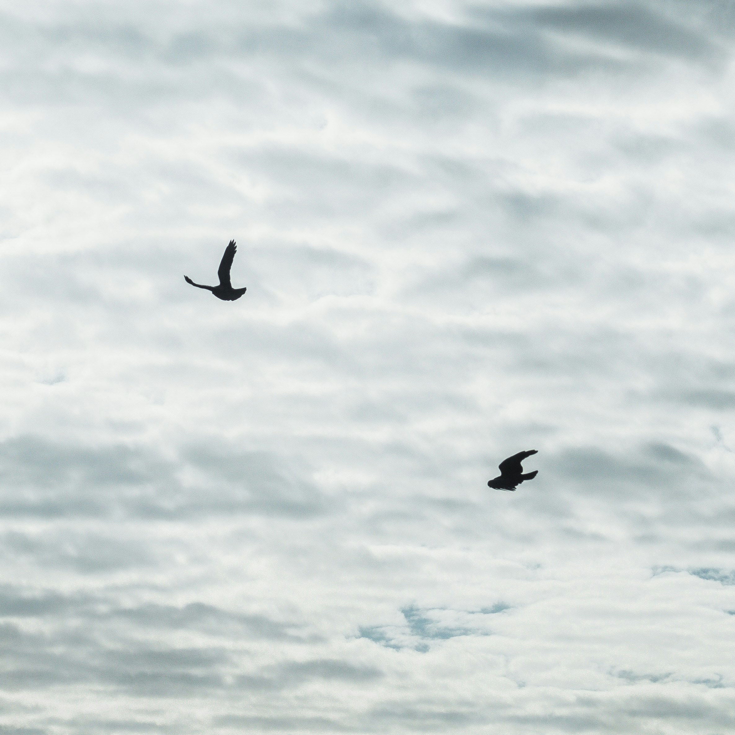 Photo by simoncheung207