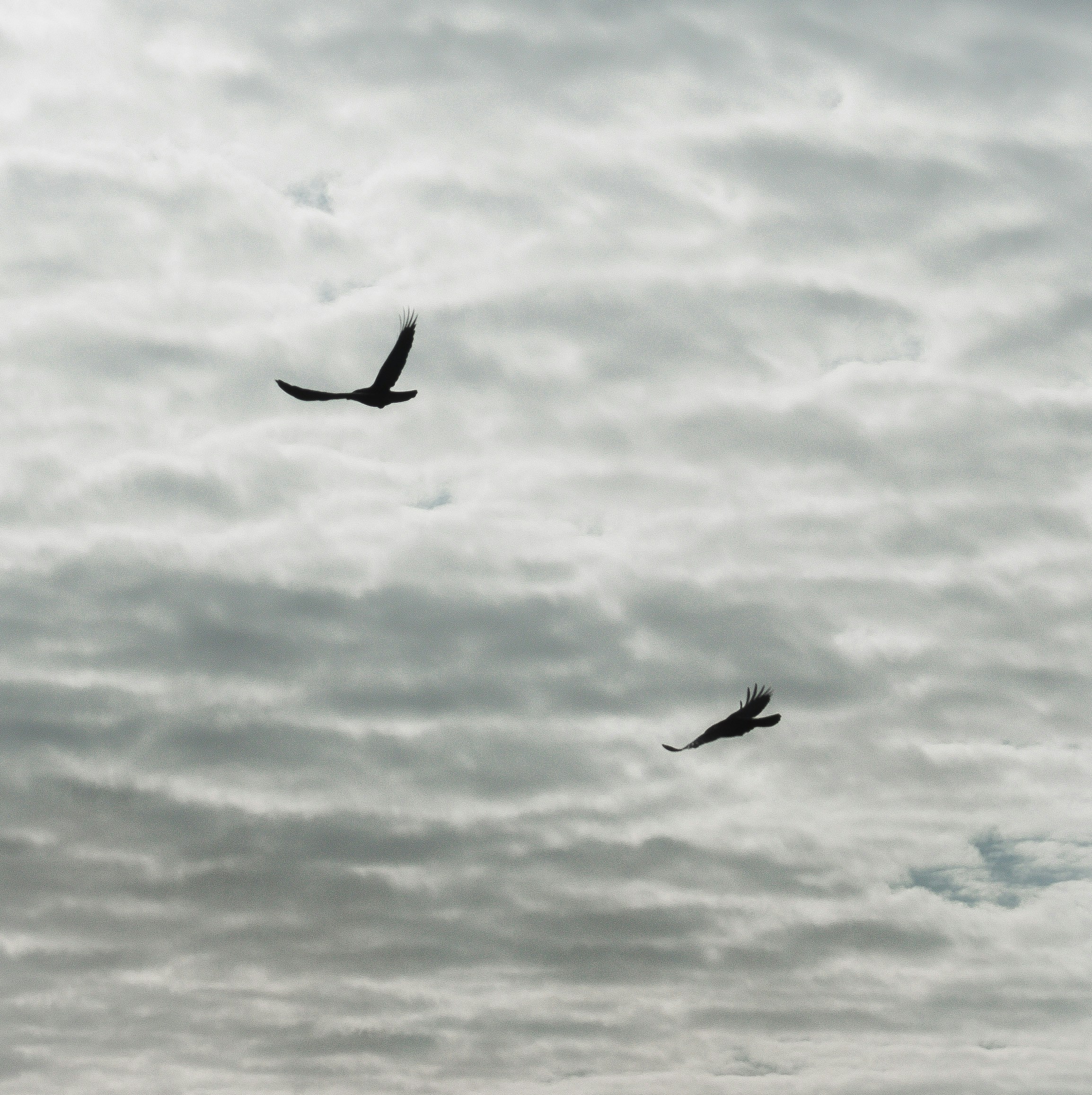 Photo by simoncheung207