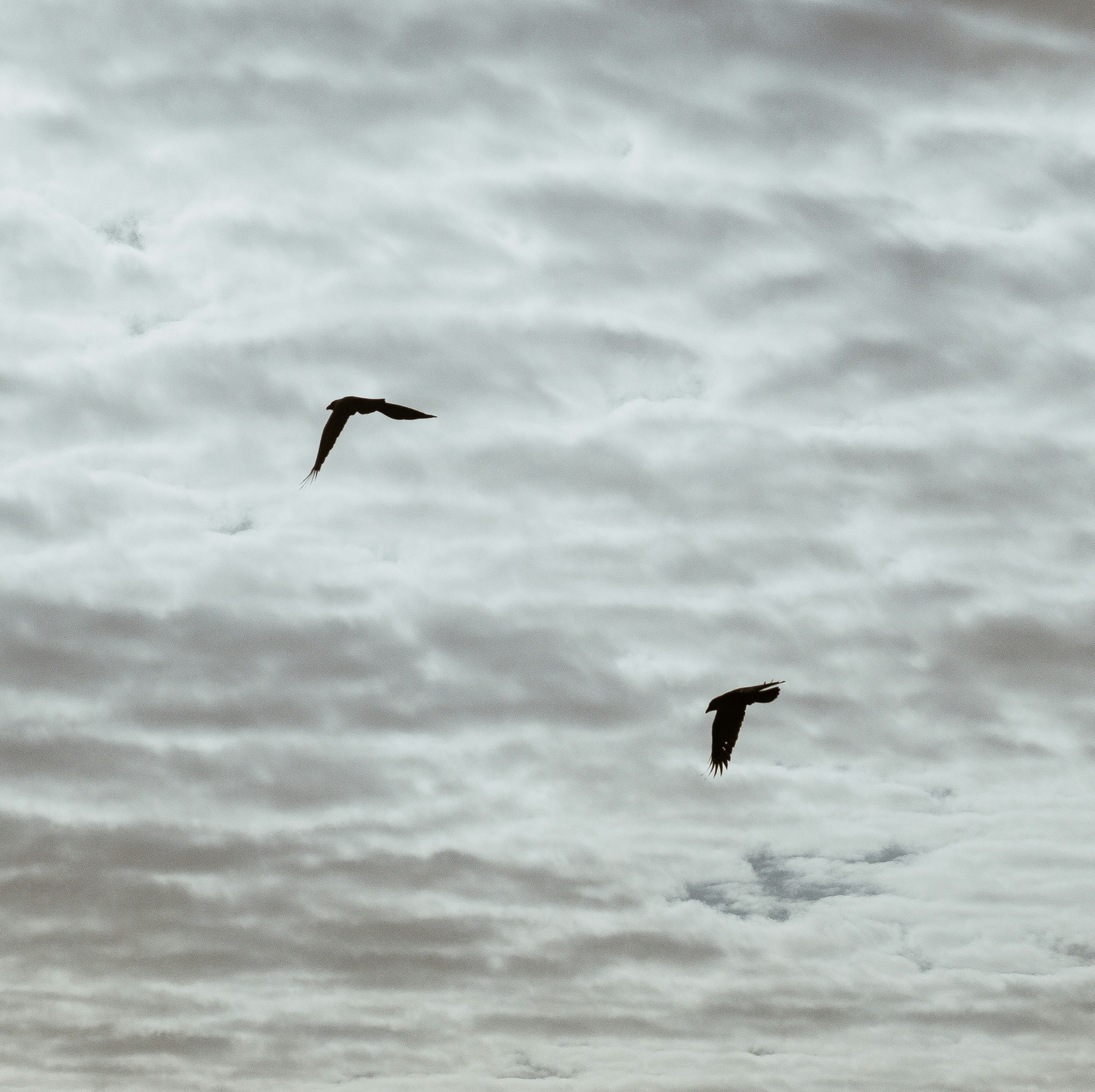 Photo by simoncheung207