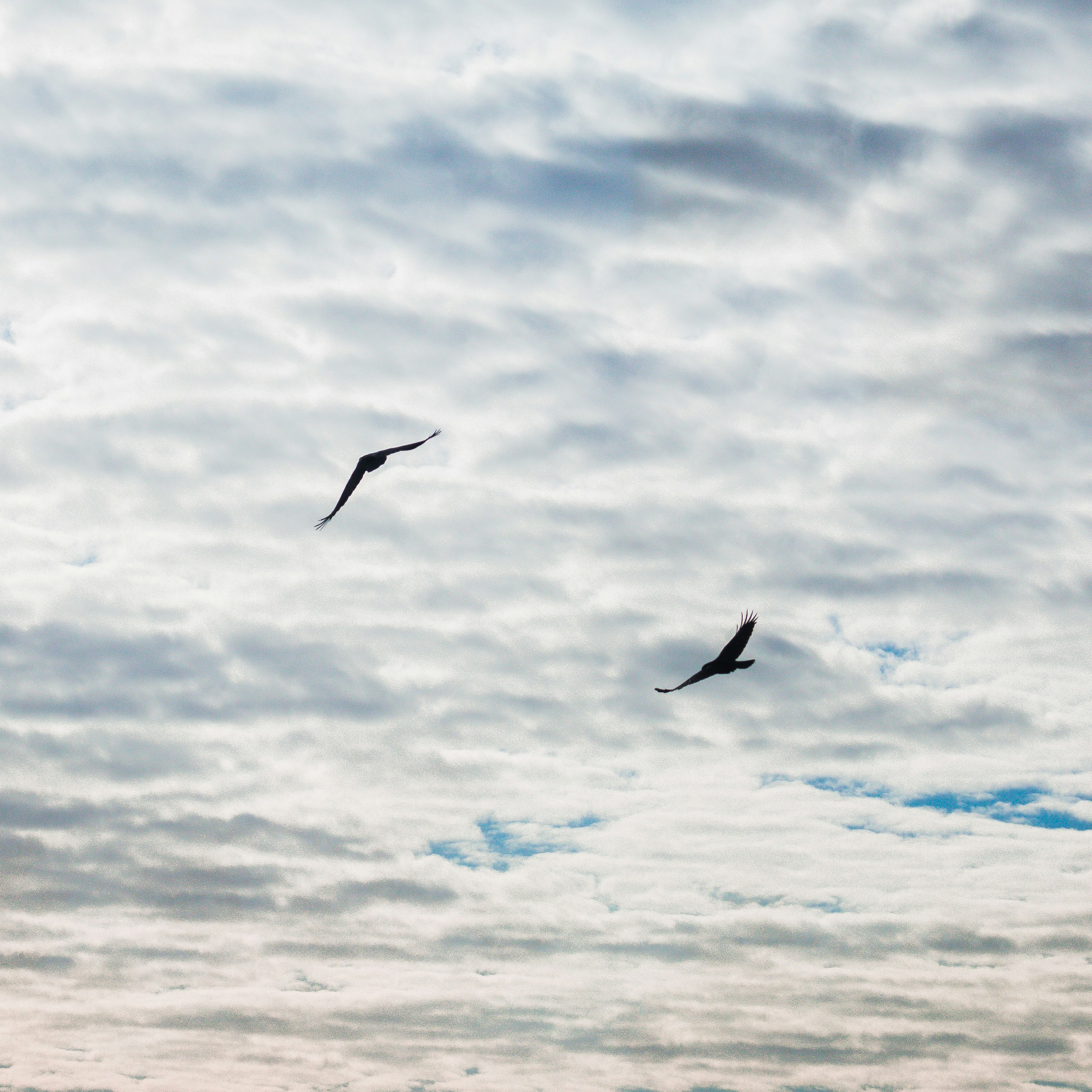 Photo by simoncheung207