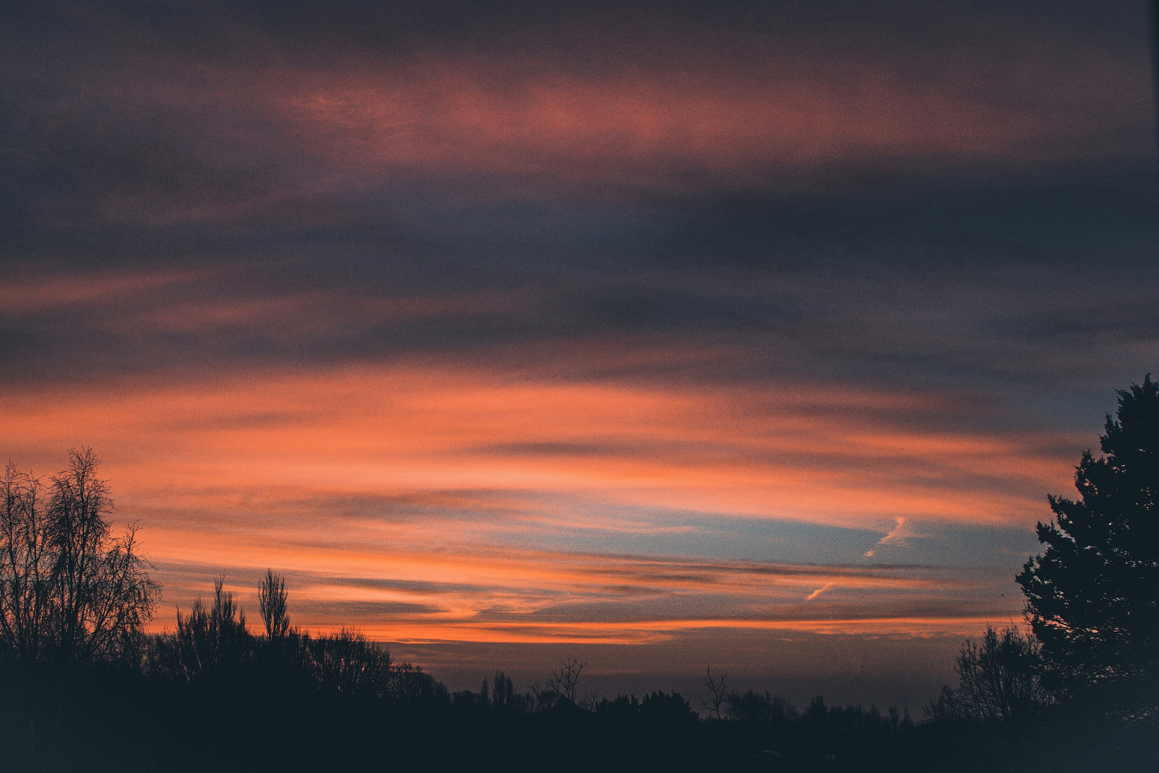 Photo by simoncheung207