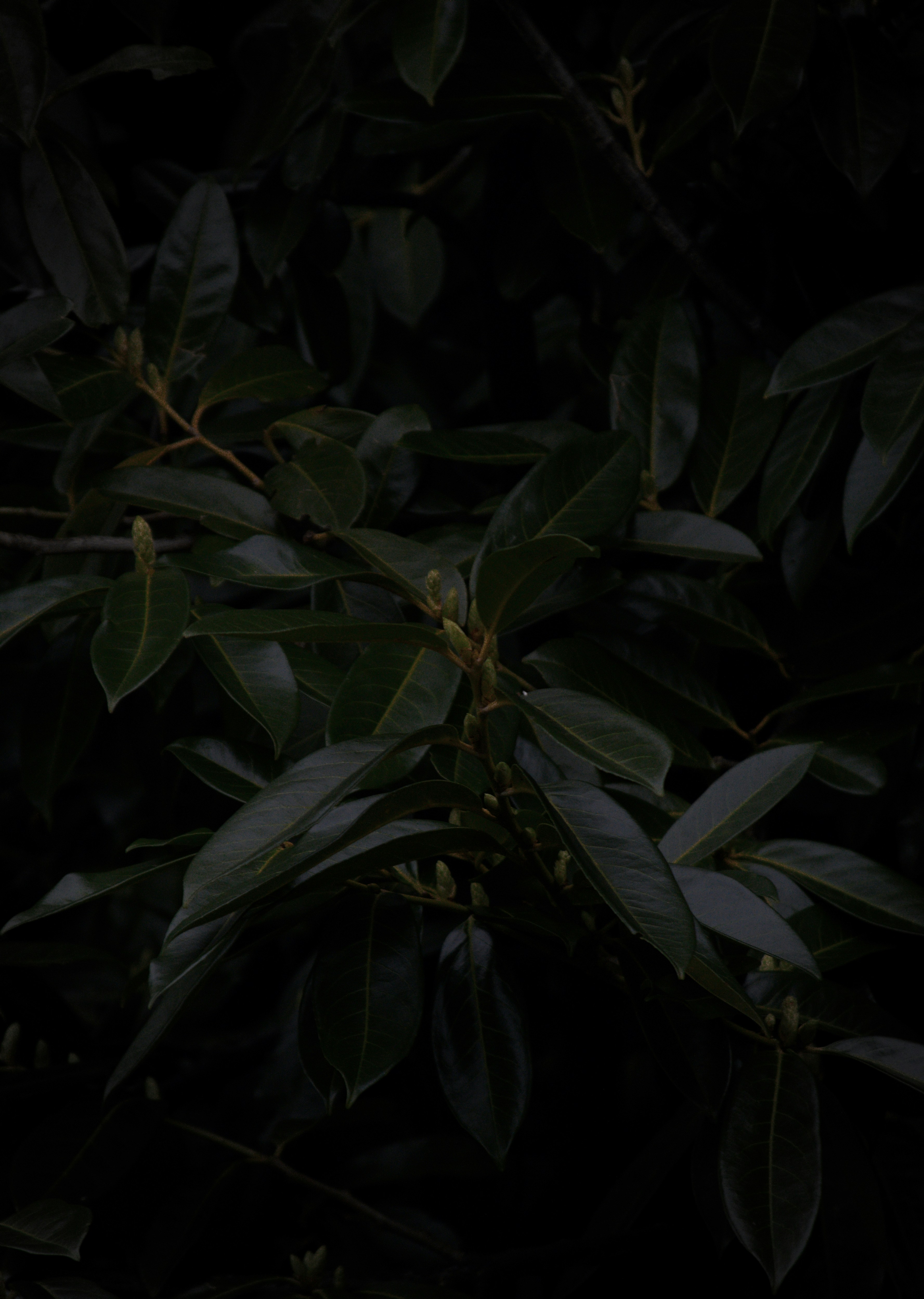 Photo by simoncheung207