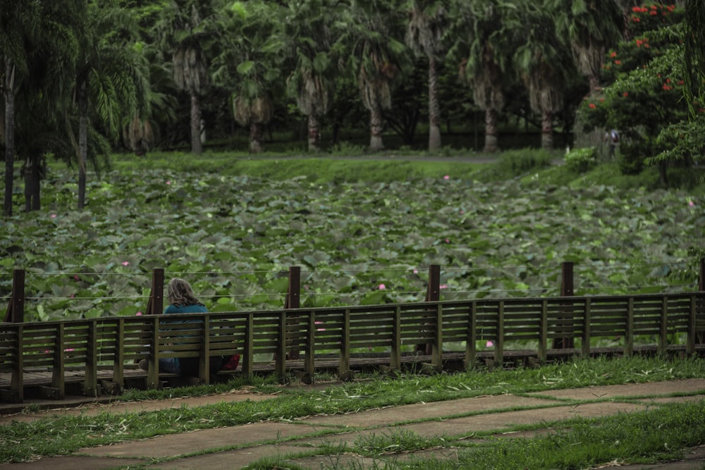 a person sitting on a bench in front of a pond