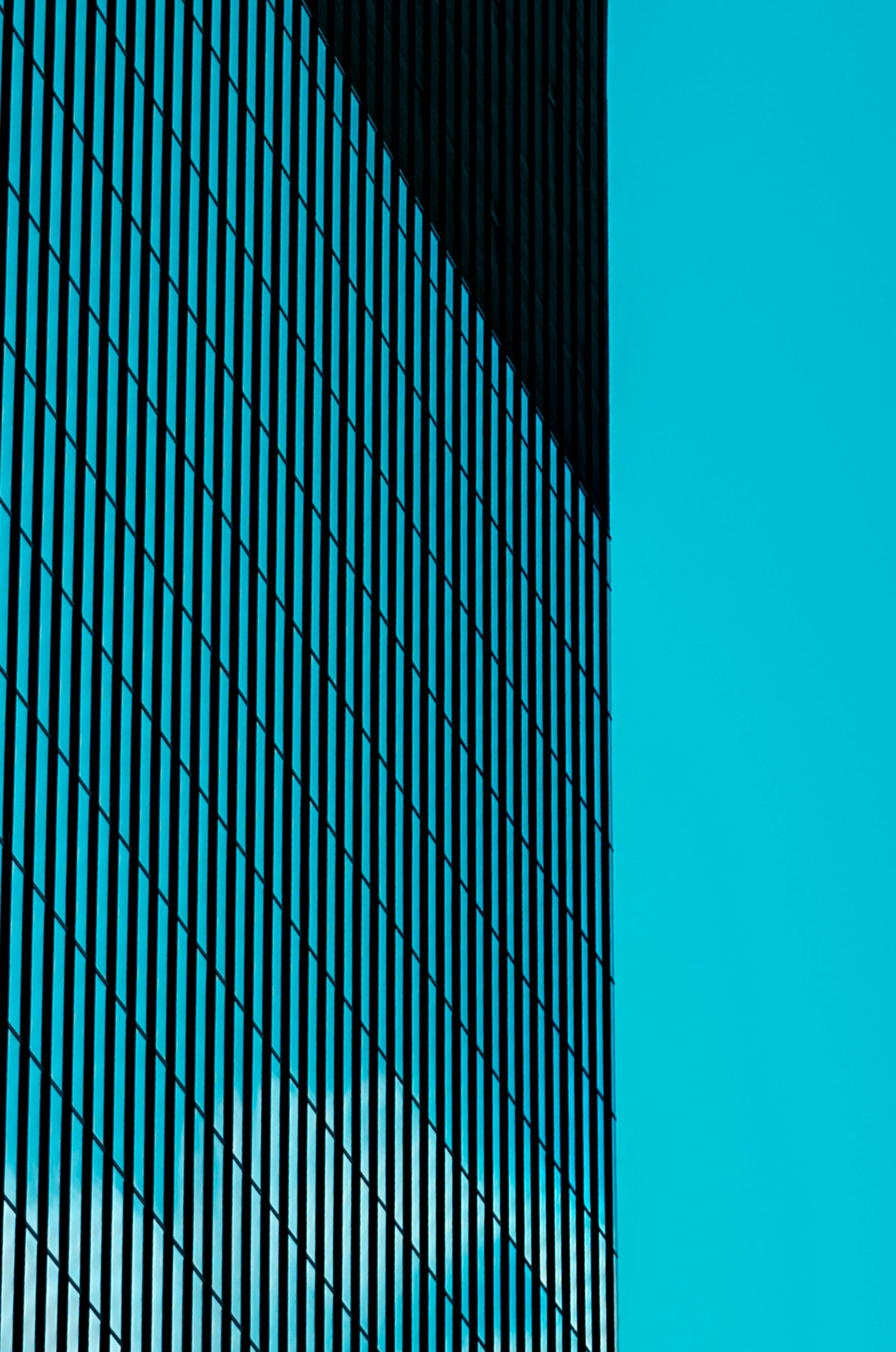 Photo by martin_blaszkiewicz