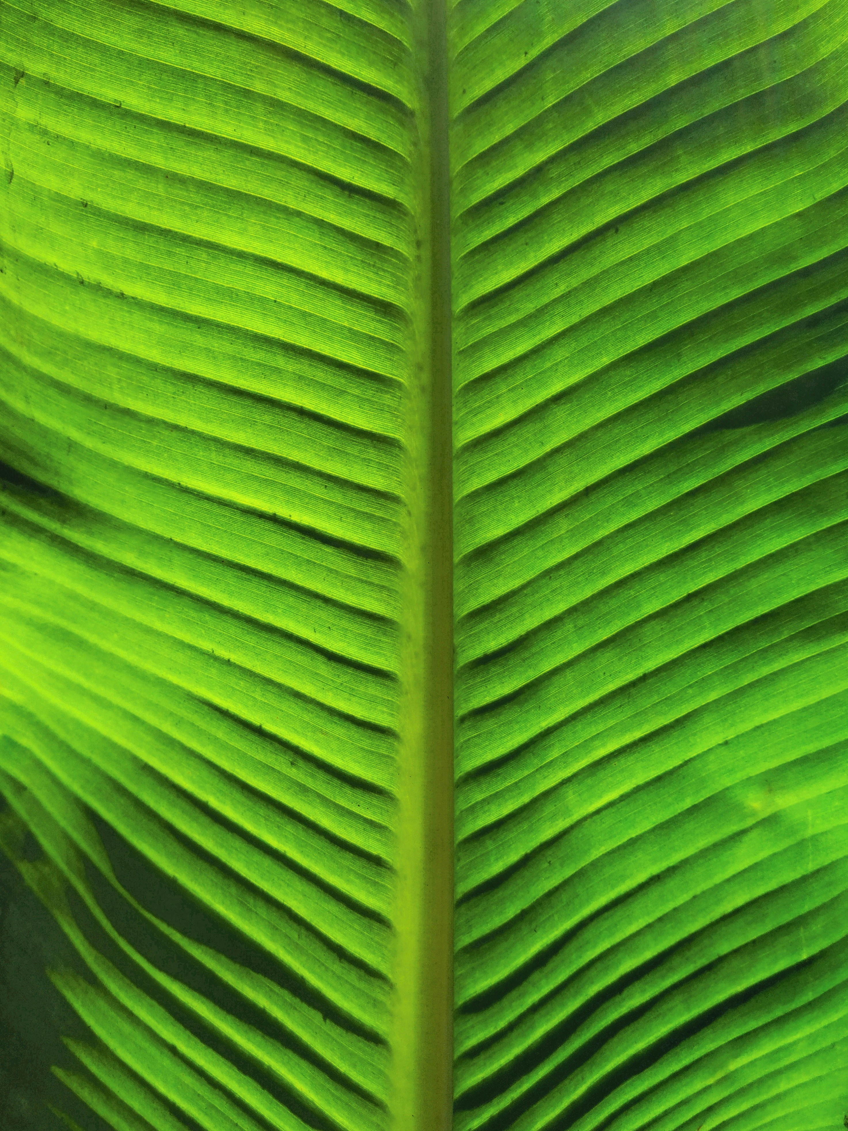 Photo by atomsmasher