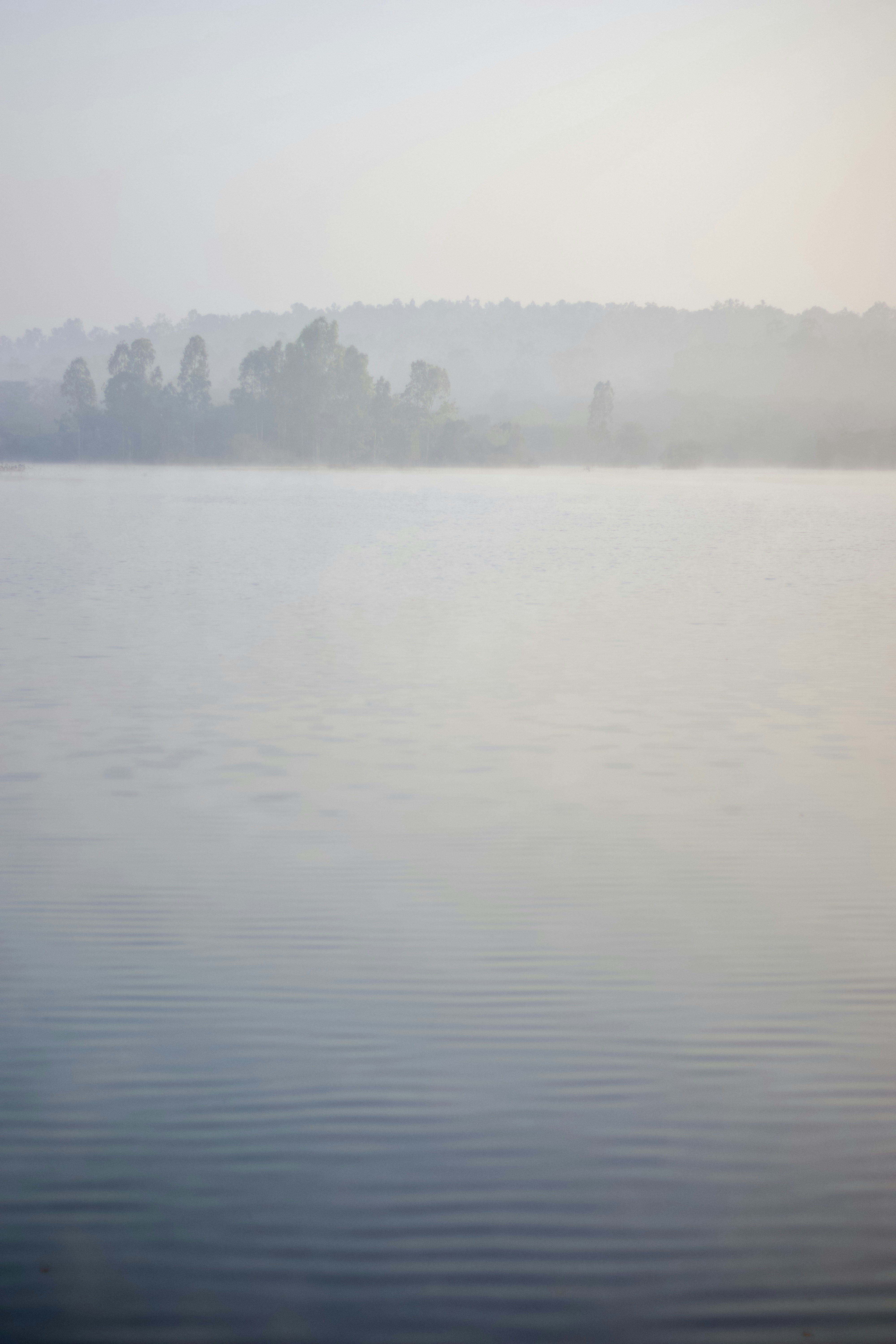 Photo by vinod_choudhary_084