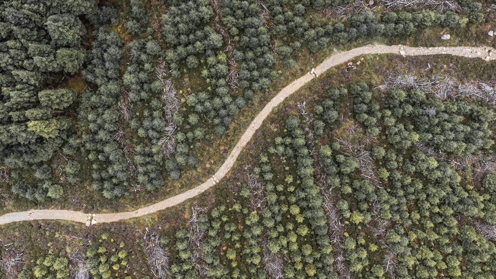 an aerial view of a road in the middle of a forest