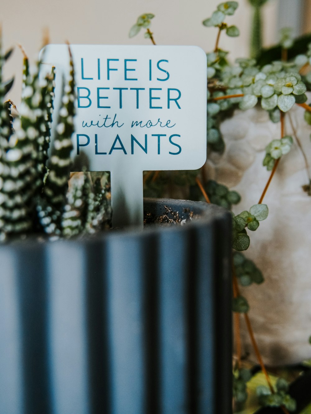 a sign that says life is better with more plants