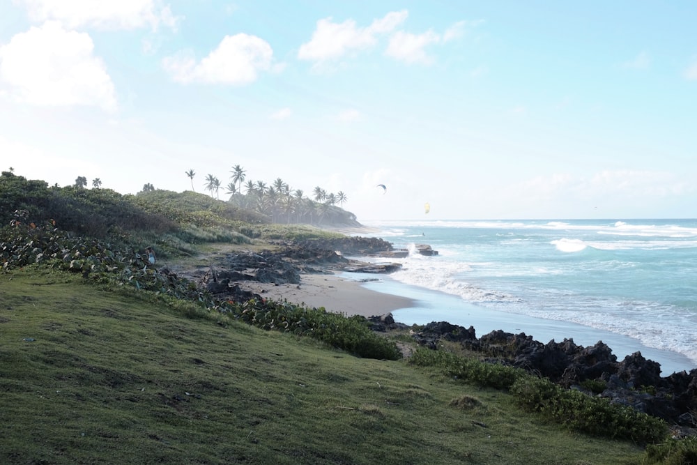 a grassy hill next to the ocean with a beach in the background