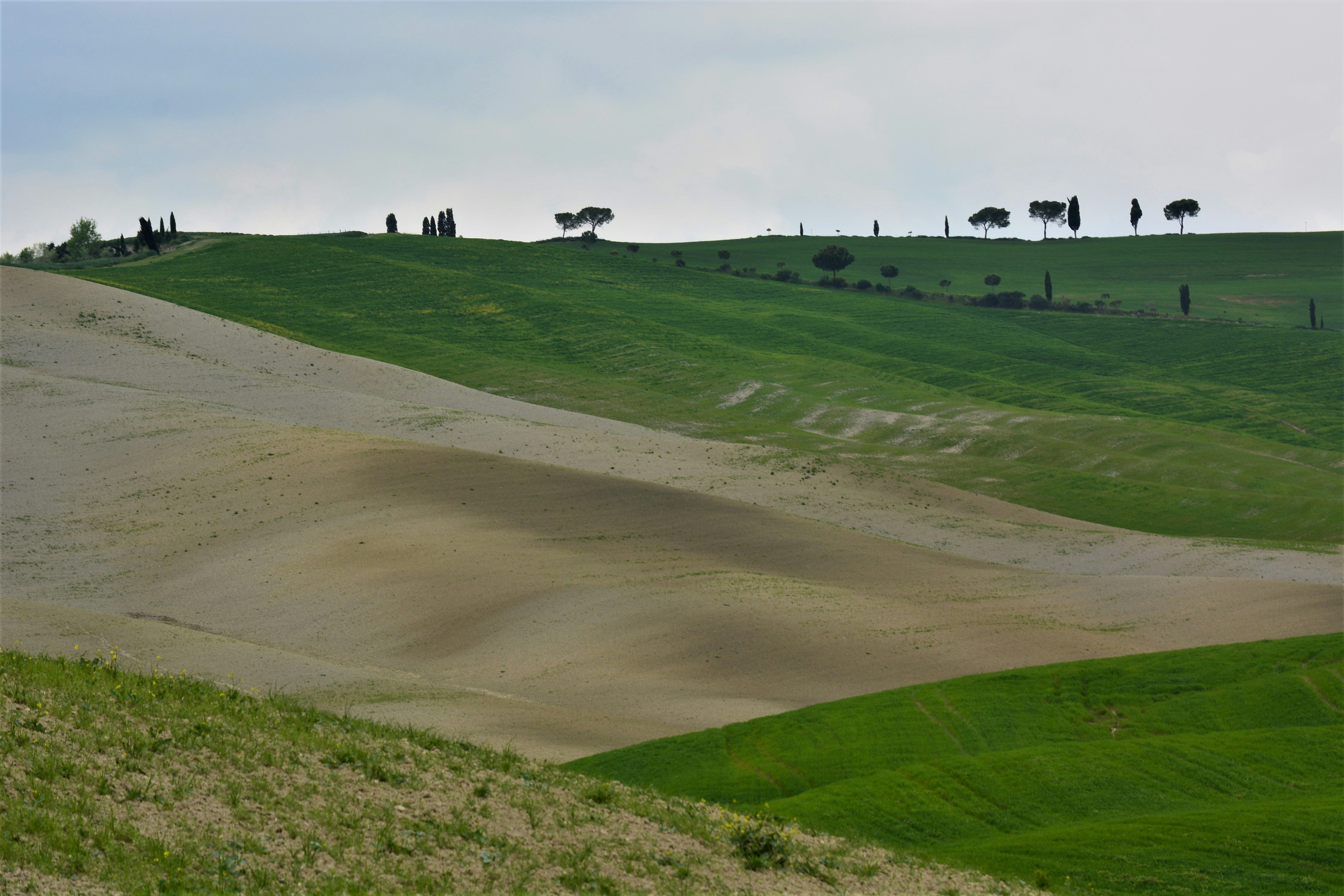 Photo by pedrino5_official