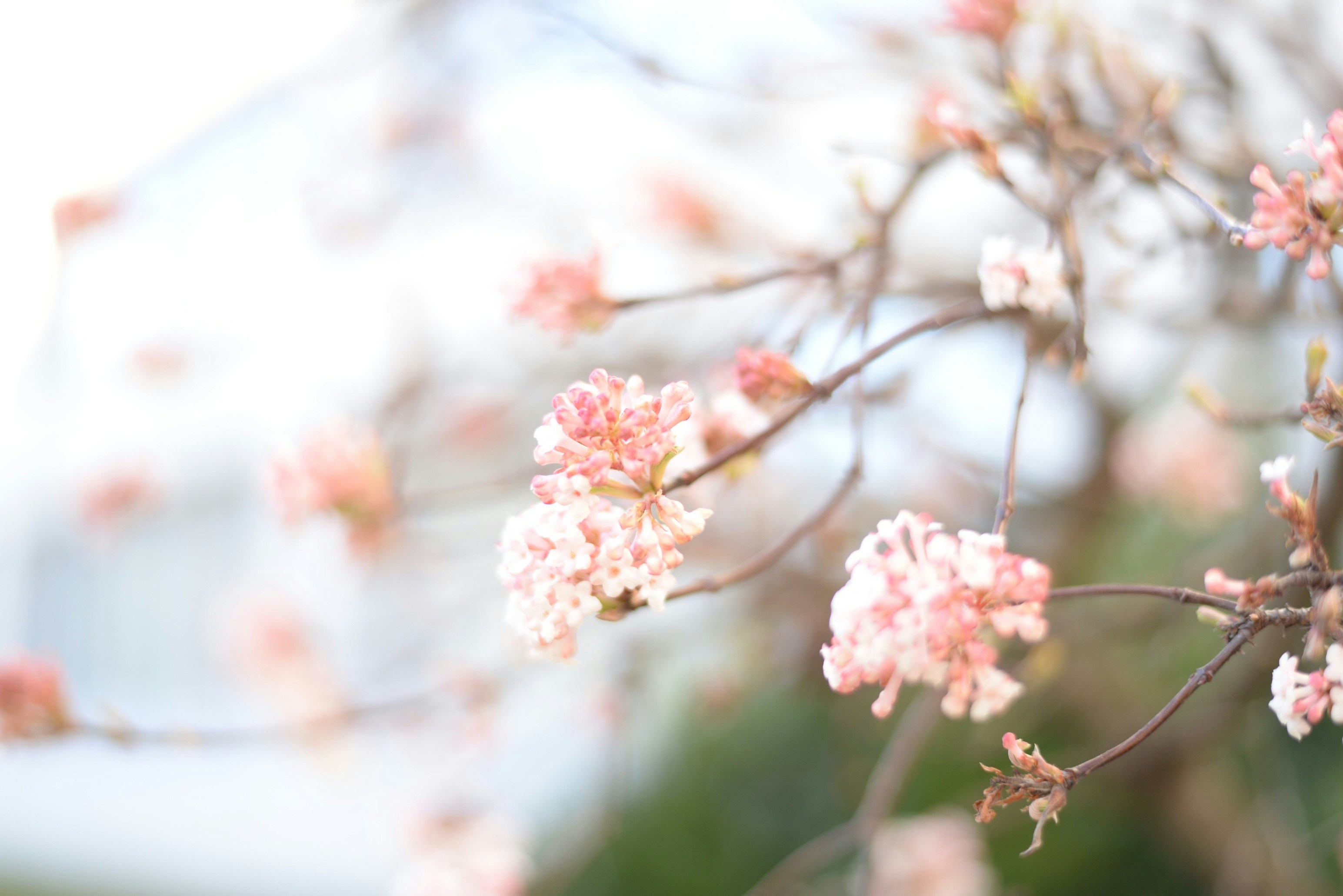 Photo by liebeundkochen_foodblog