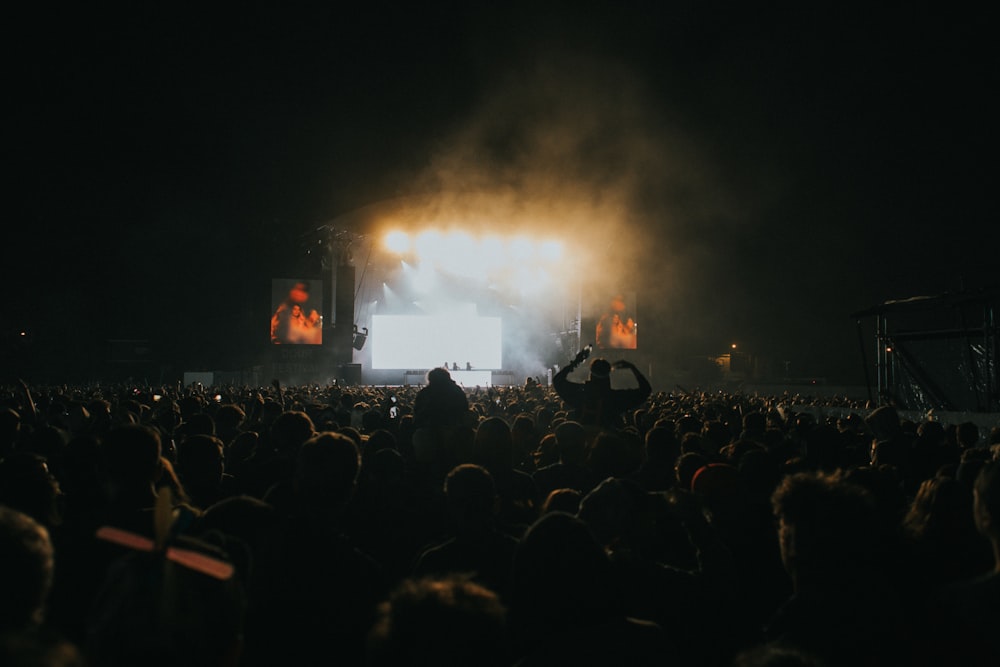 a large crowd of people at a concert