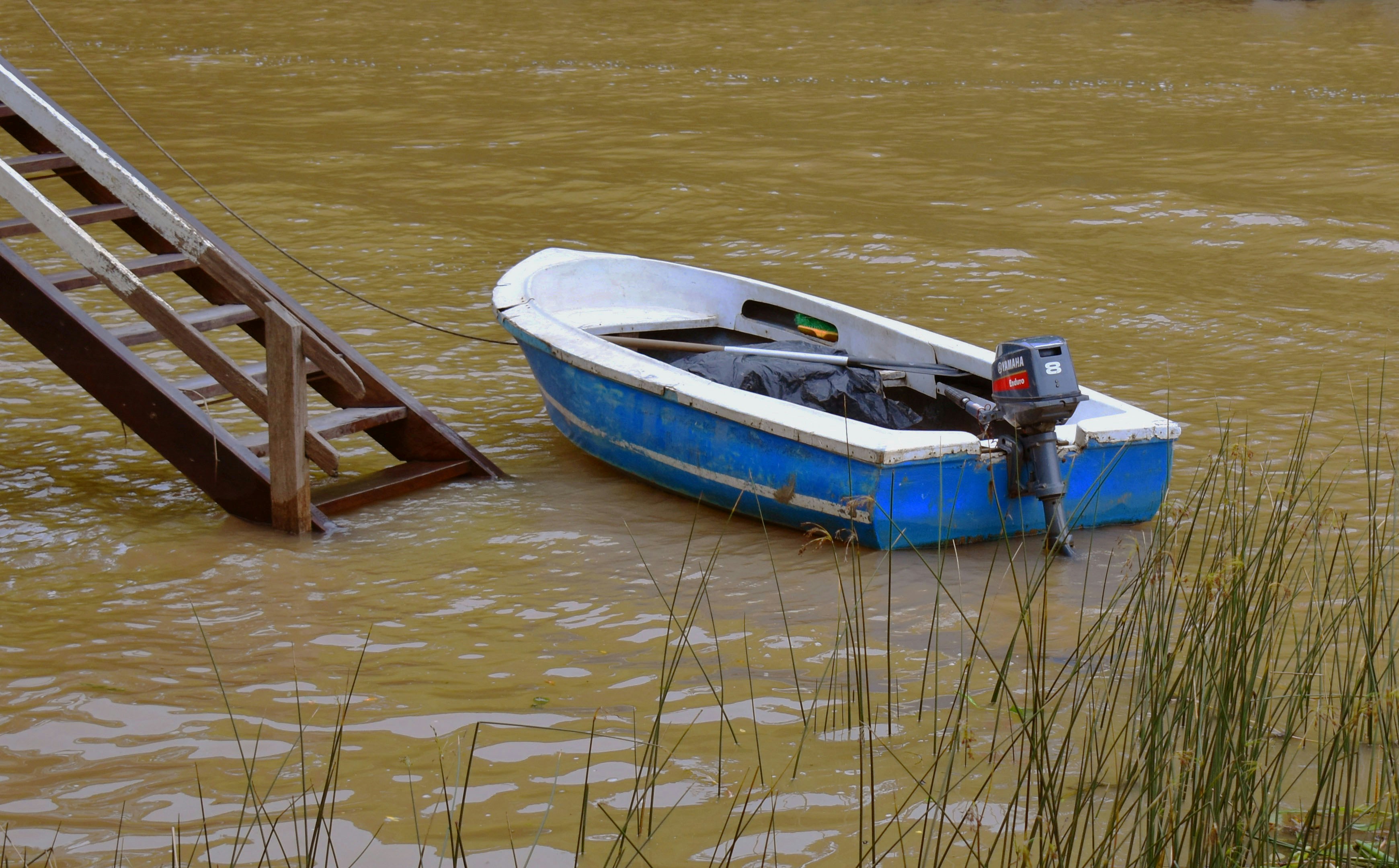 a blue and white boat sitting on top of a body of water