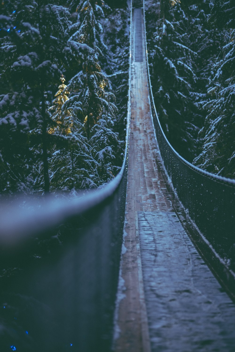 a suspension bridge in the middle of a snowy forest