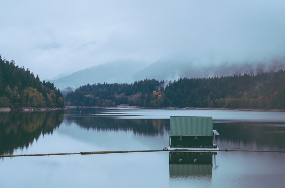 a body of water surrounded by trees and a forest