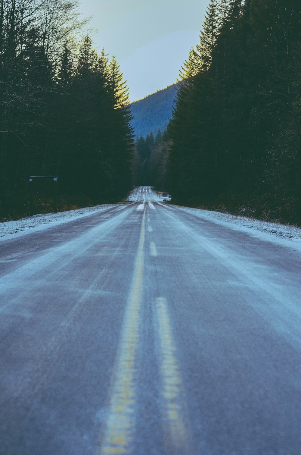 a road with a line of trees on the side of it