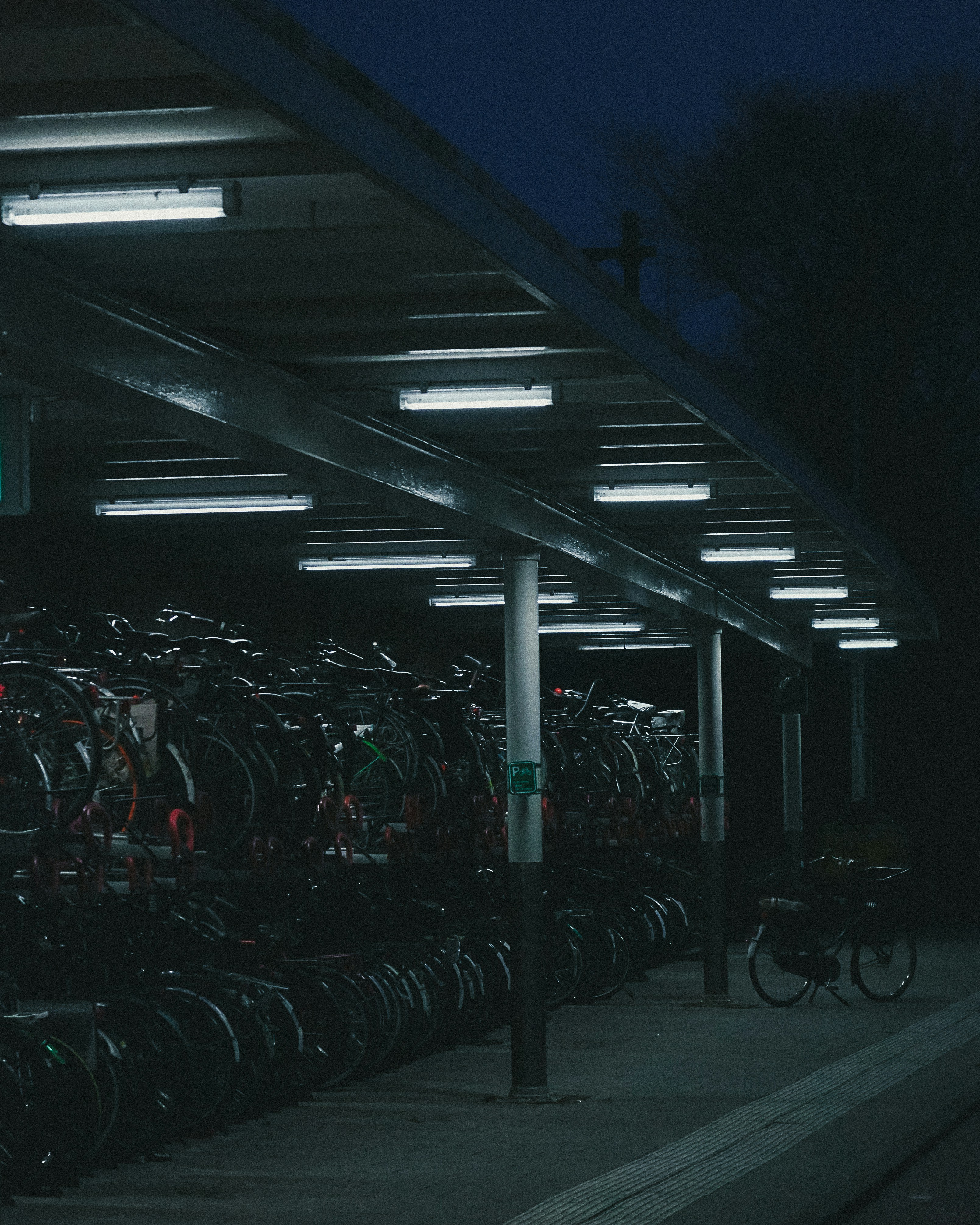 Photo by schoolbaasq