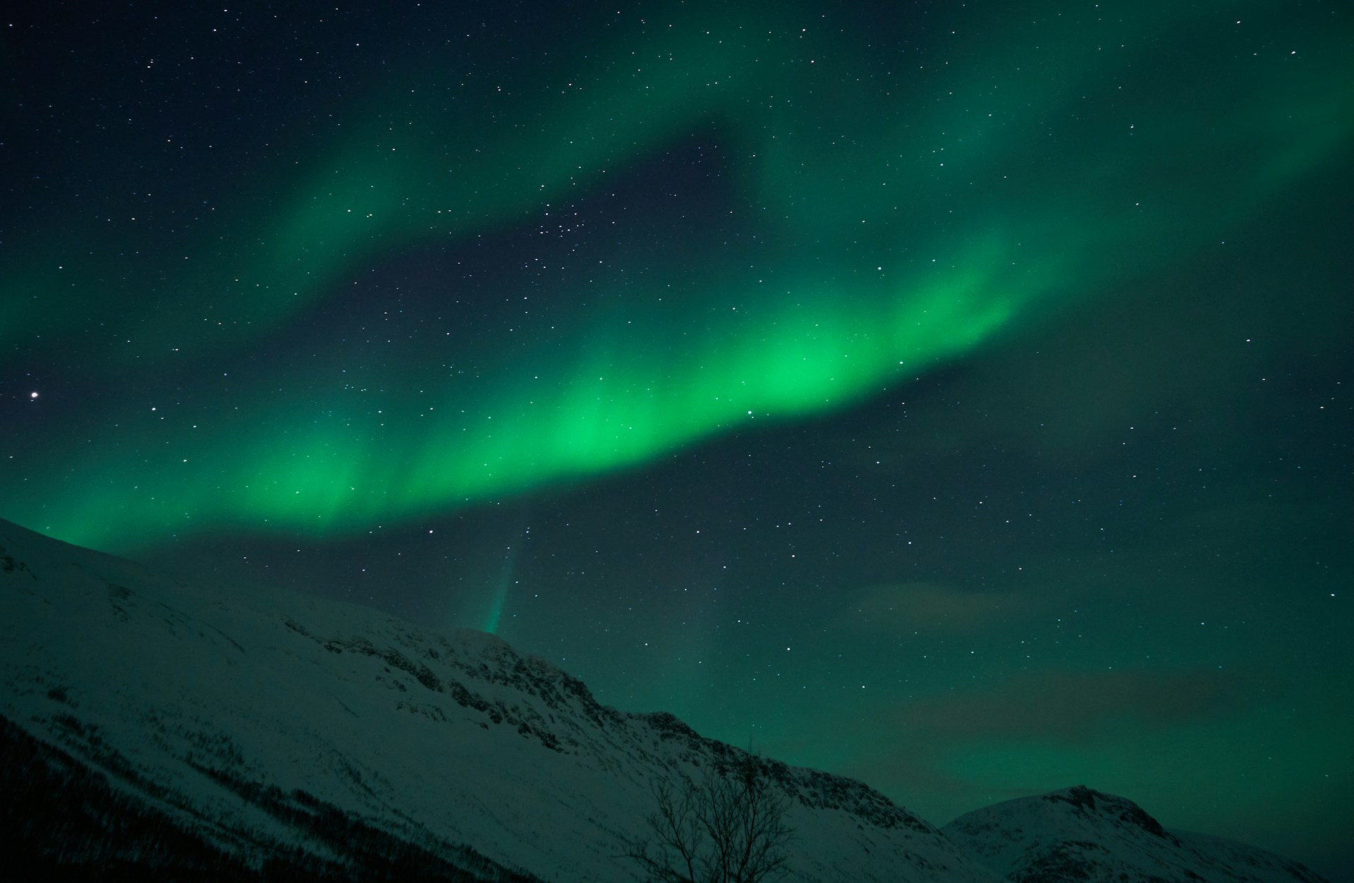 a bright green aurora bore above a snowy mountain