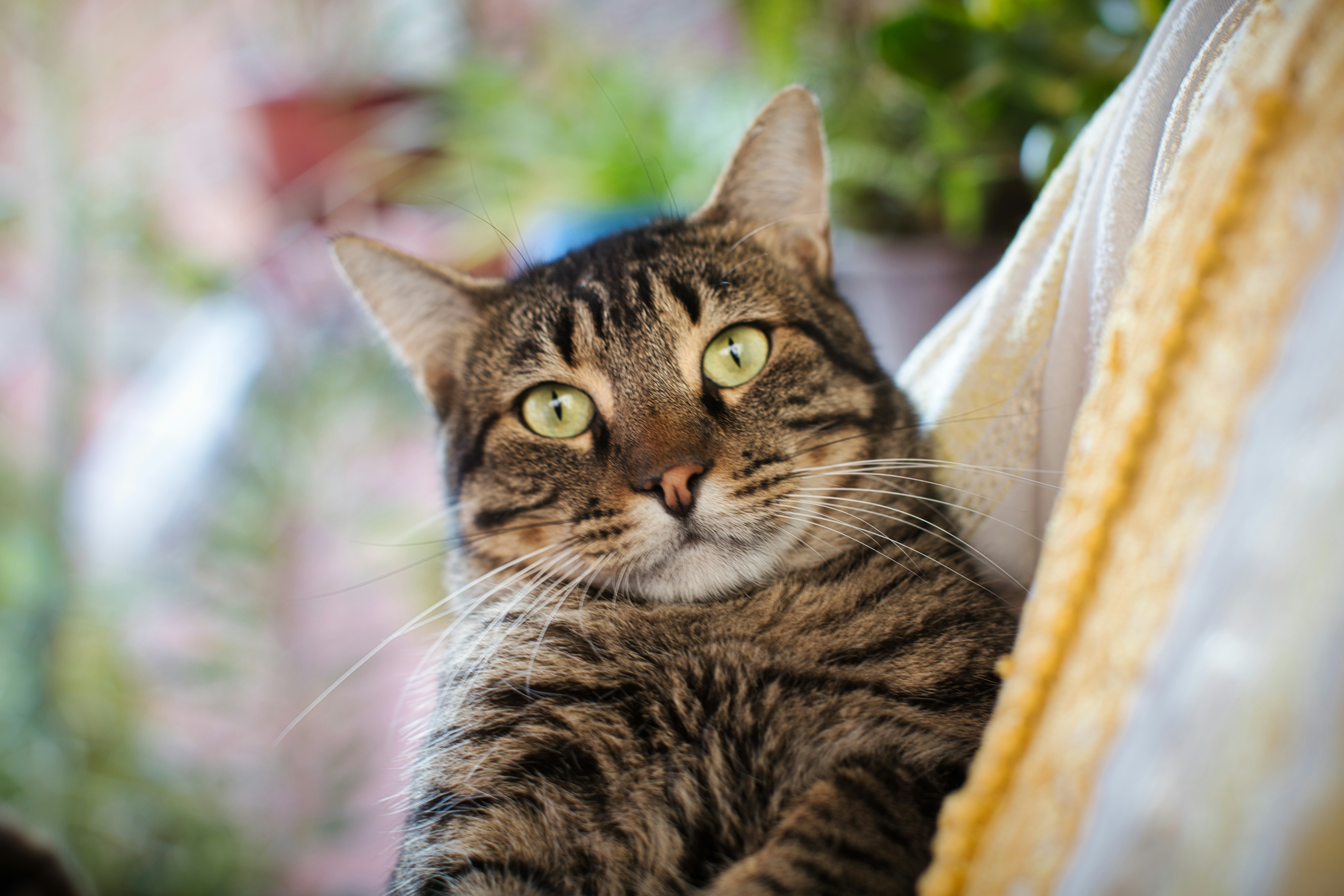 The Genetic Time Capsule (image credits: unsplash)