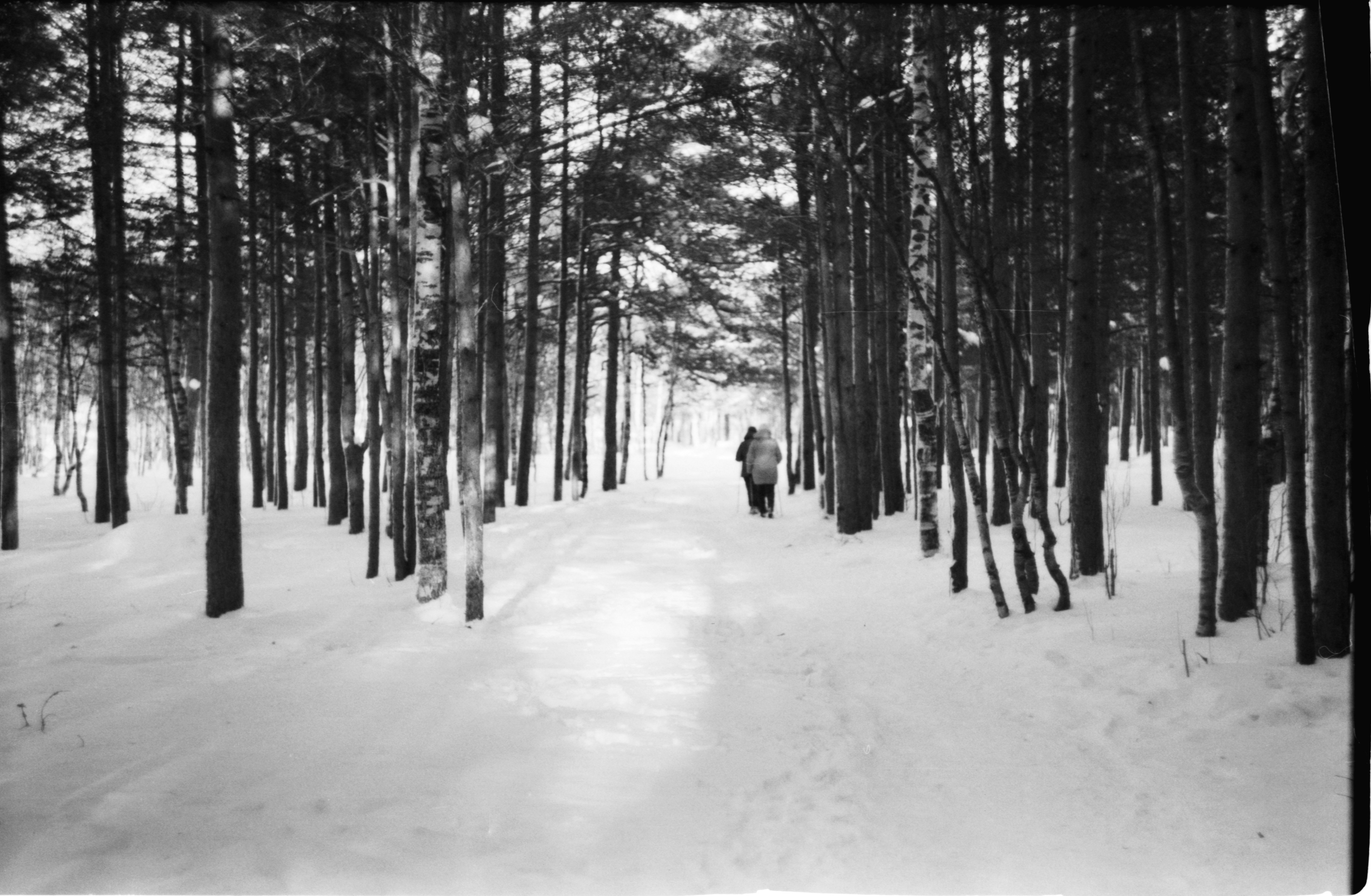 Photo by antohakraev