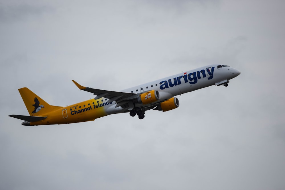 a large passenger jet flying through a cloudy sky