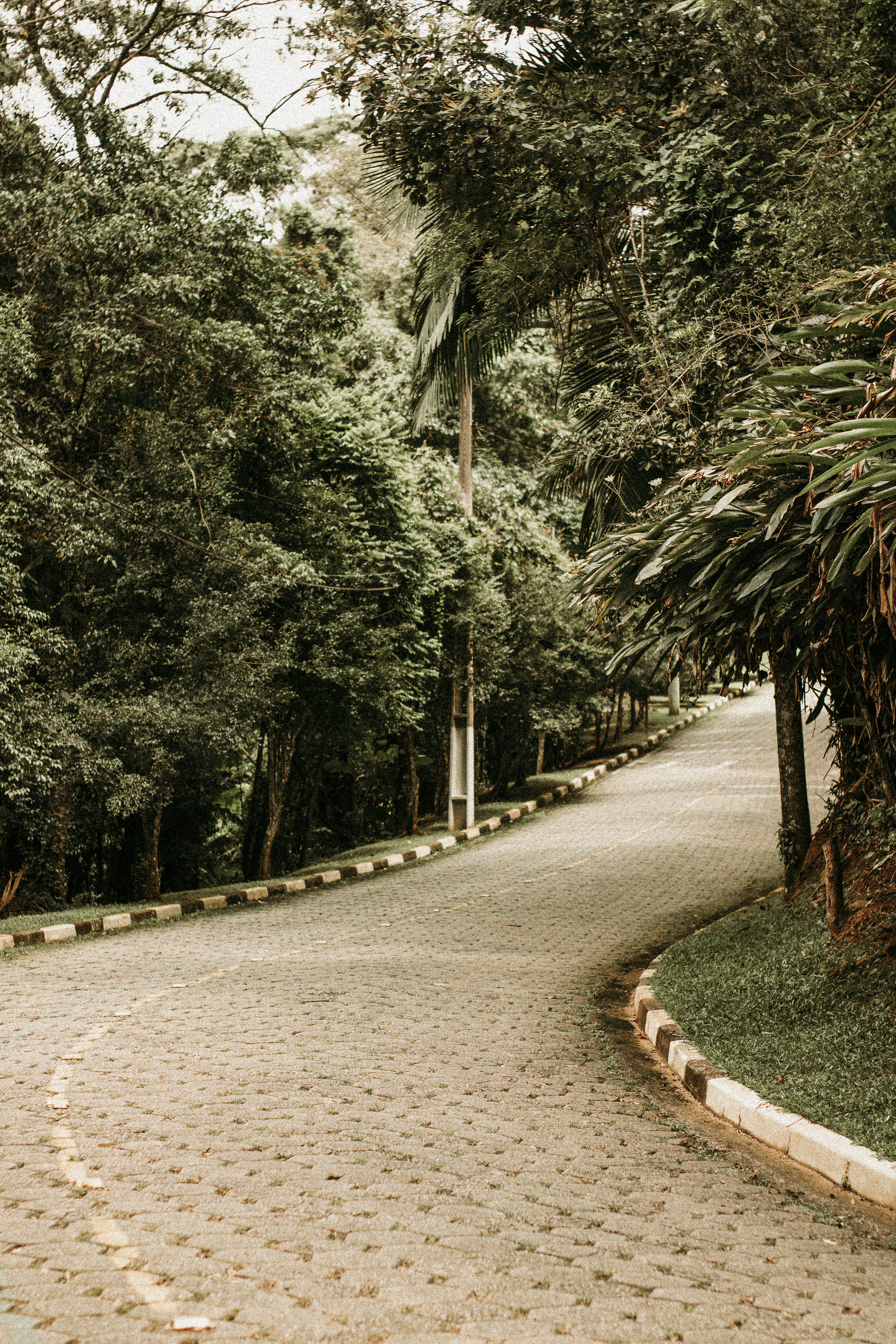 Photo by paolanunesfoto