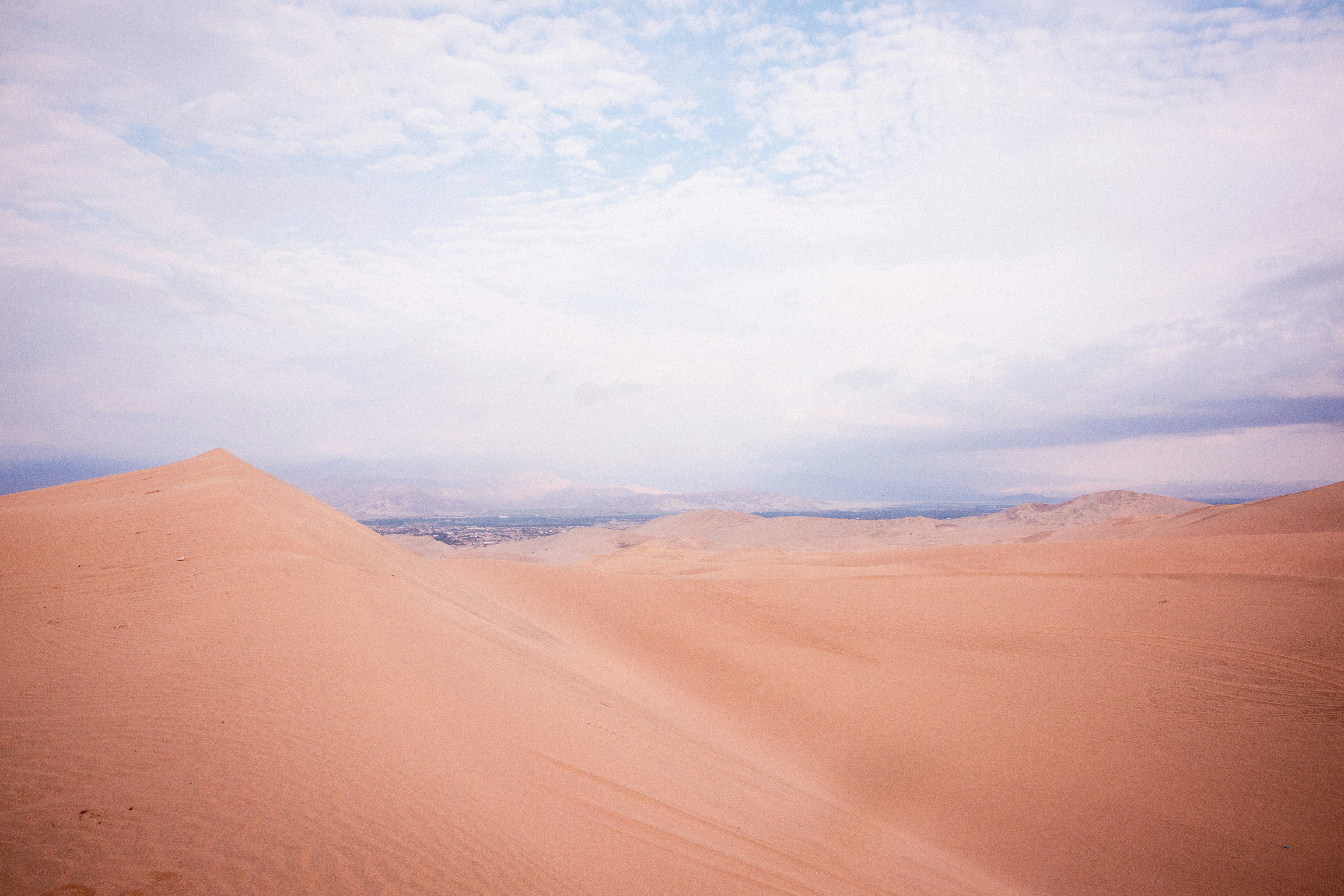 Photo by xapalacioscx