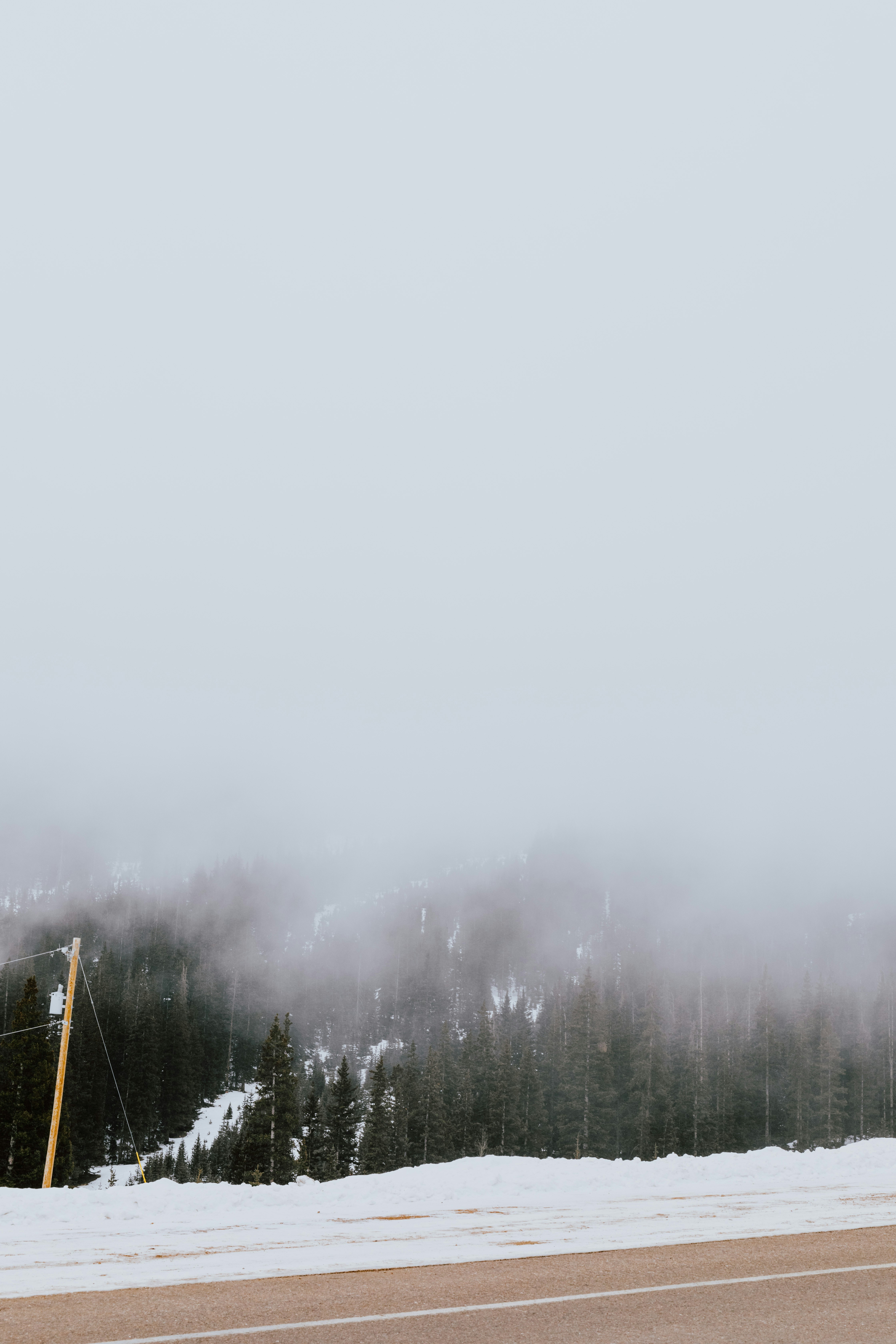 Photo by paularturotorres