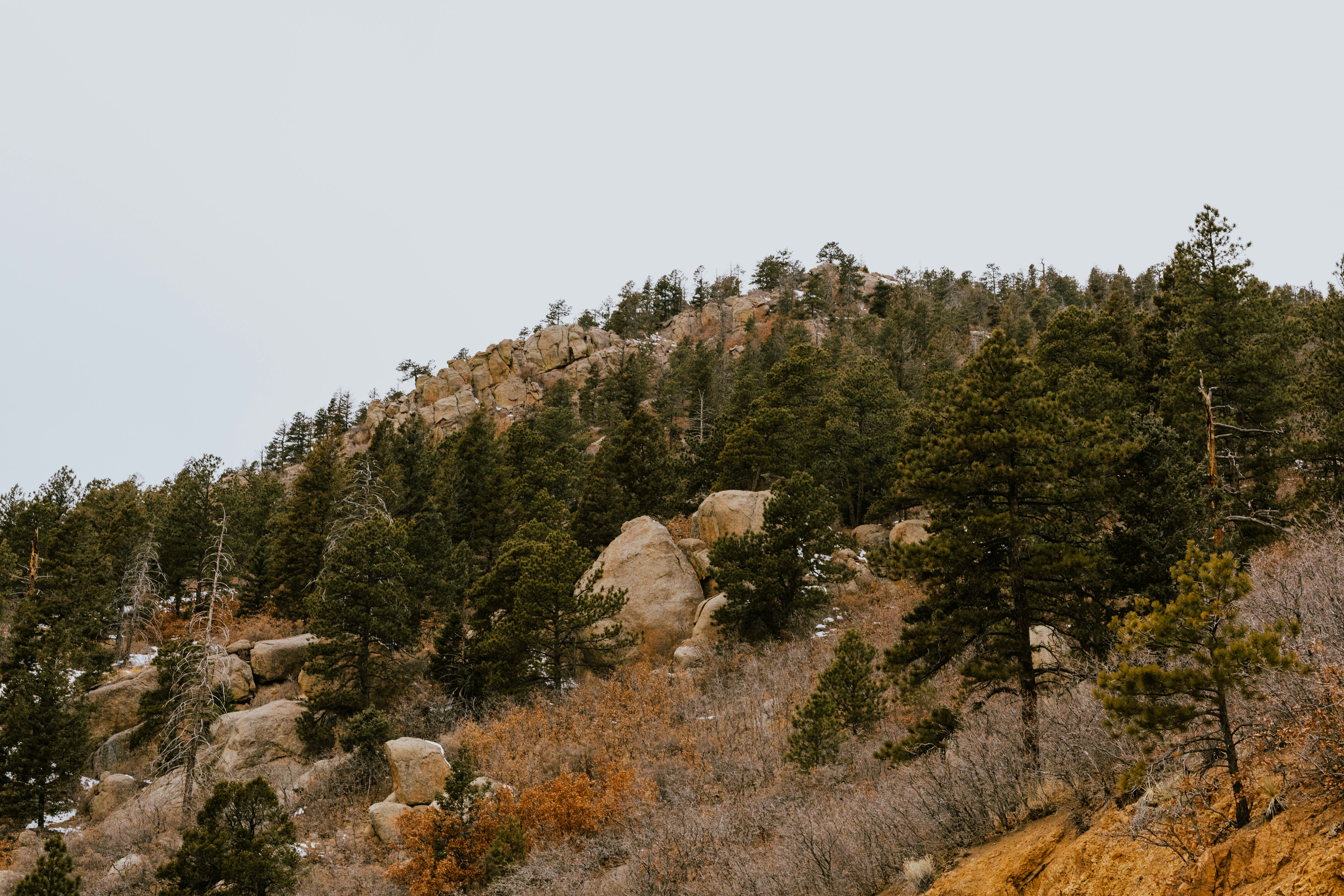 Photo by paularturotorres