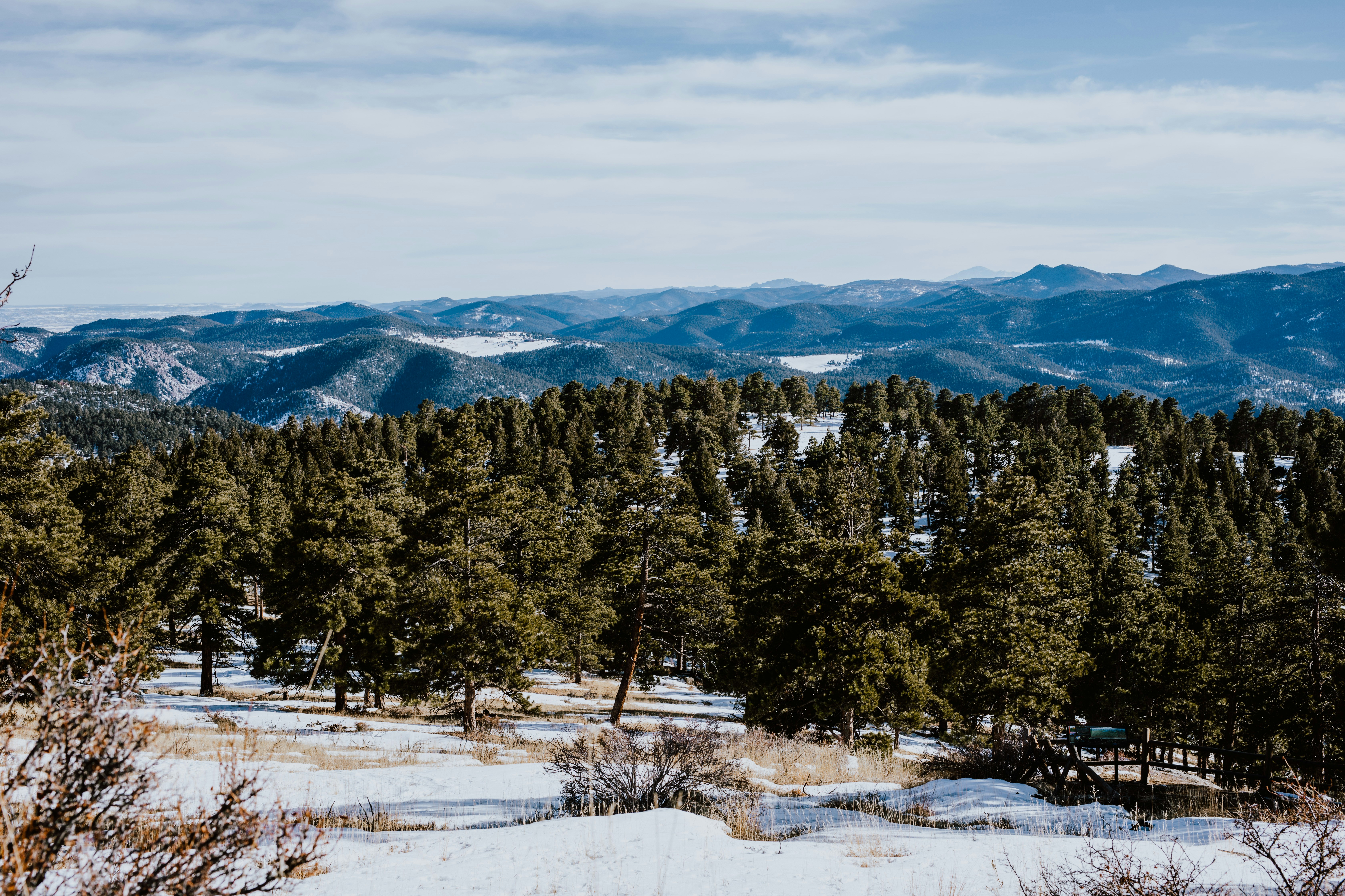 Photo by paularturotorres